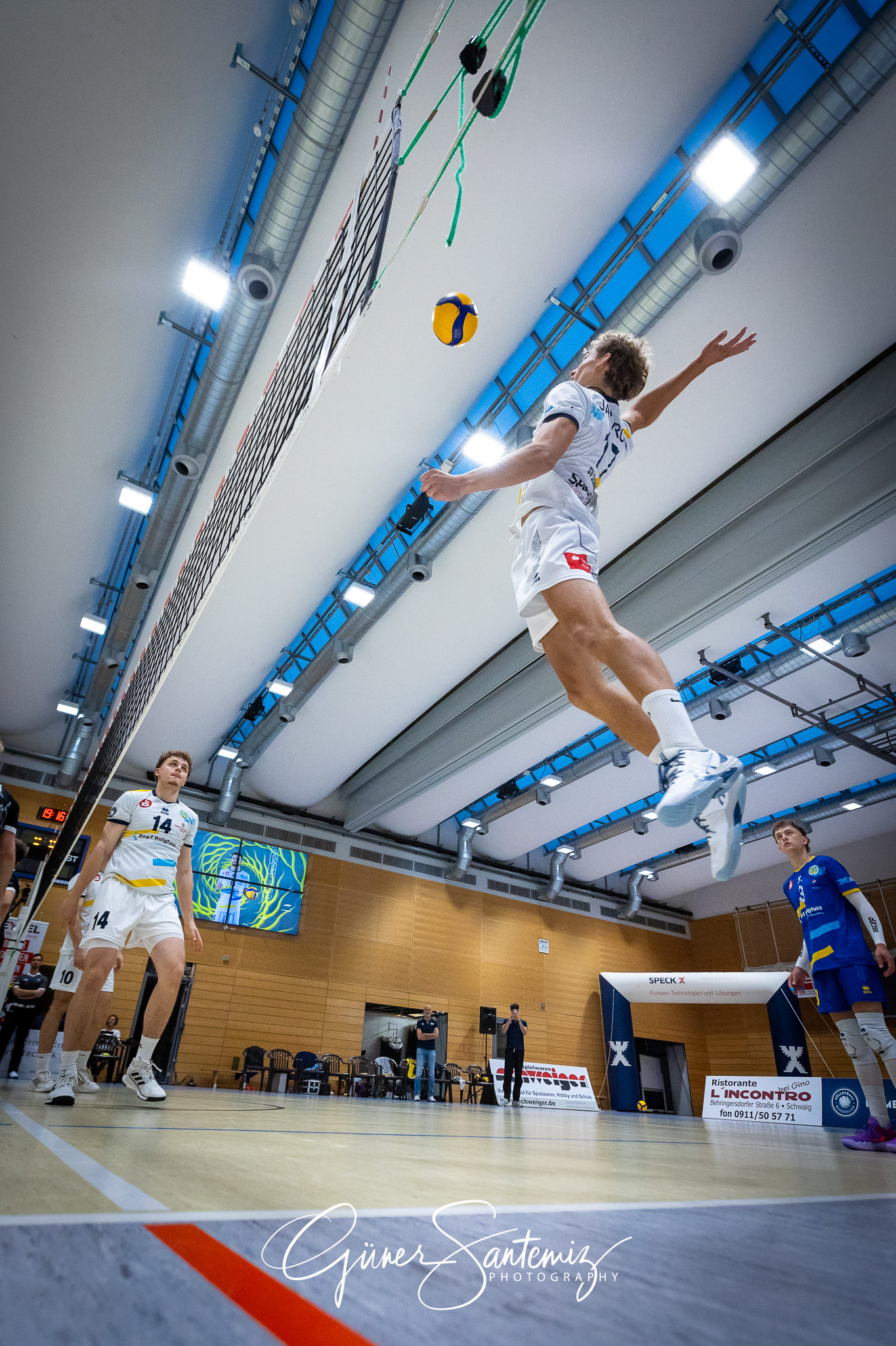SV Schwaig Volleyball - SSG Langen - Volleyball - 2. Bundesliga