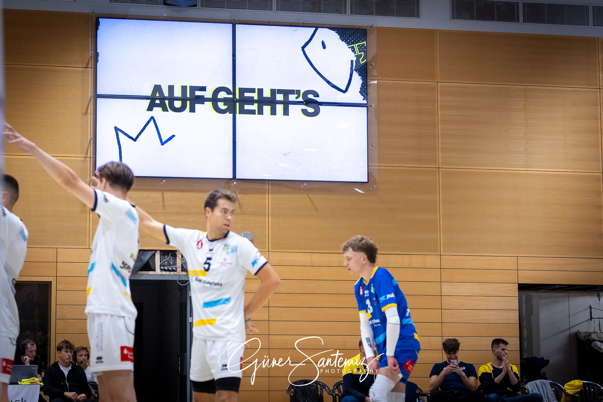 SV Schwaig Volleyball - SSG Langen - Volleyball - 2. Bundesliga