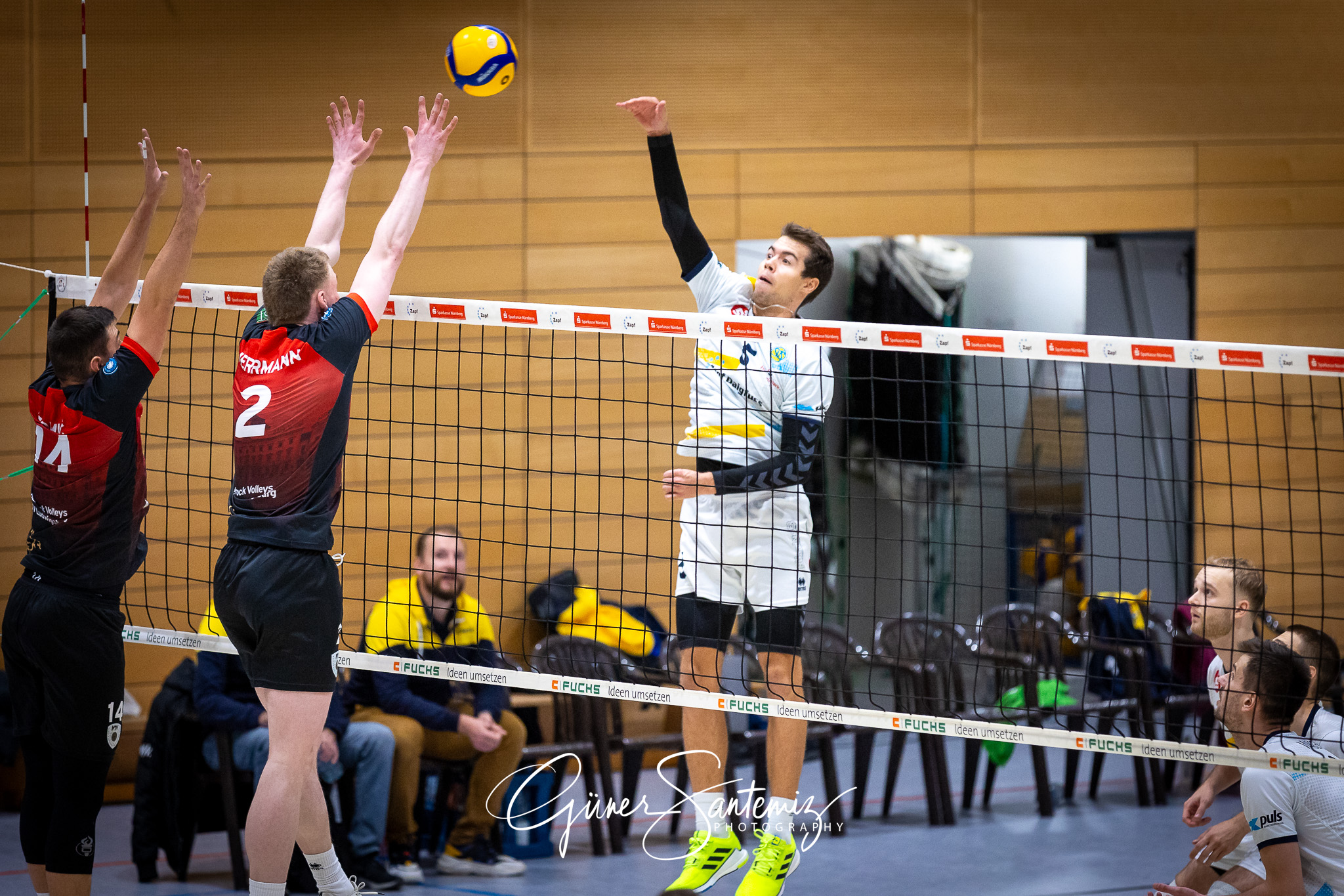 SV Schwaig Volleyball - Barock Volleys MTV Ludwigsburg - Volleyb