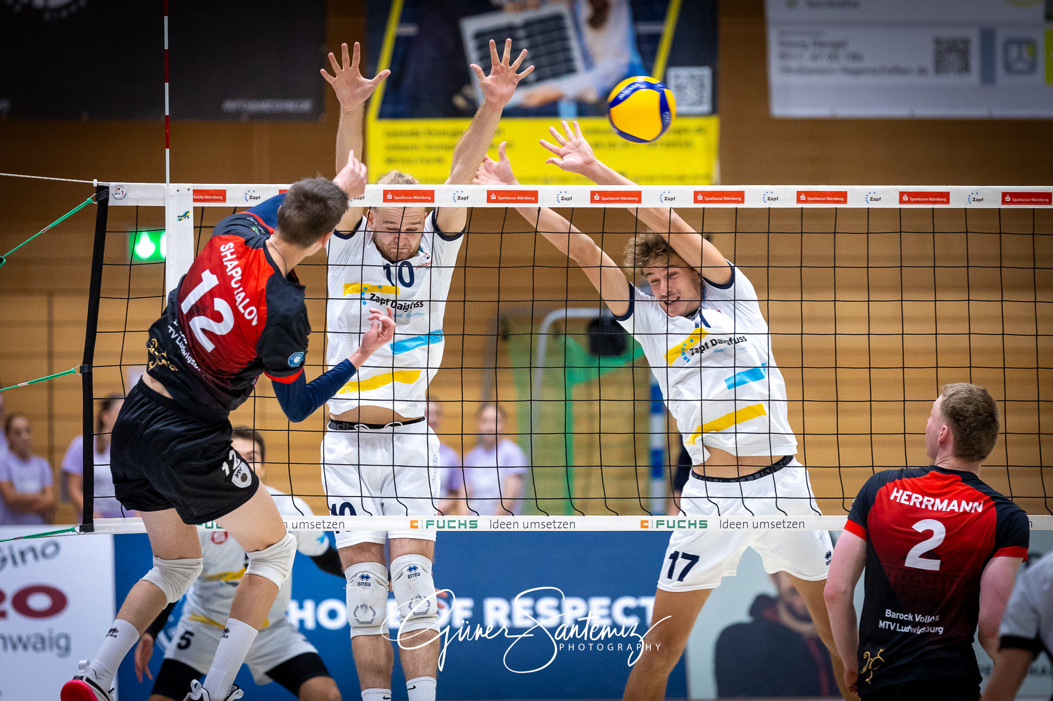 SV Schwaig Volleyball - Barock Volleys MTV Ludwigsburg - Volleyb