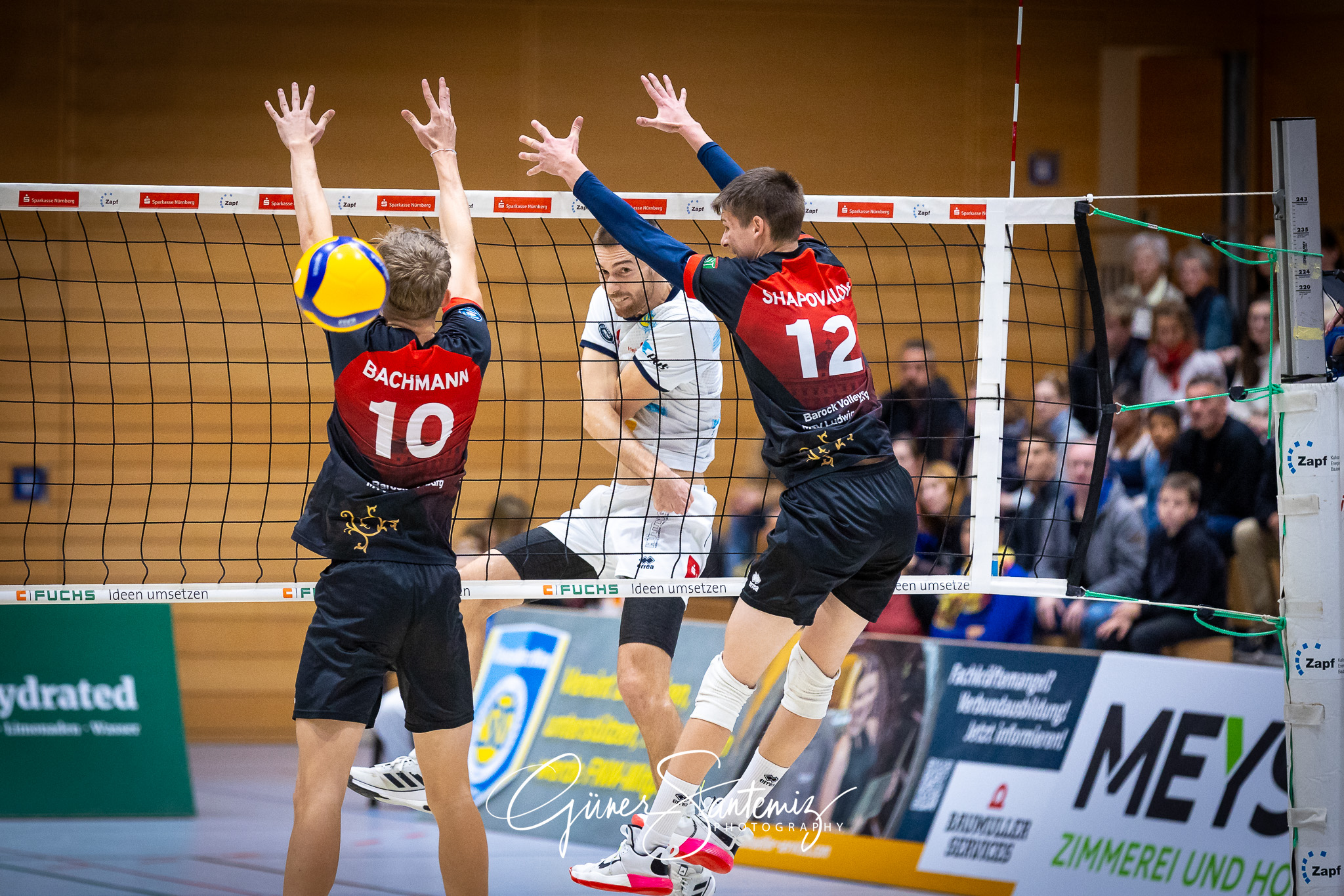 SV Schwaig Volleyball - Barock Volleys MTV Ludwigsburg - Volleyb