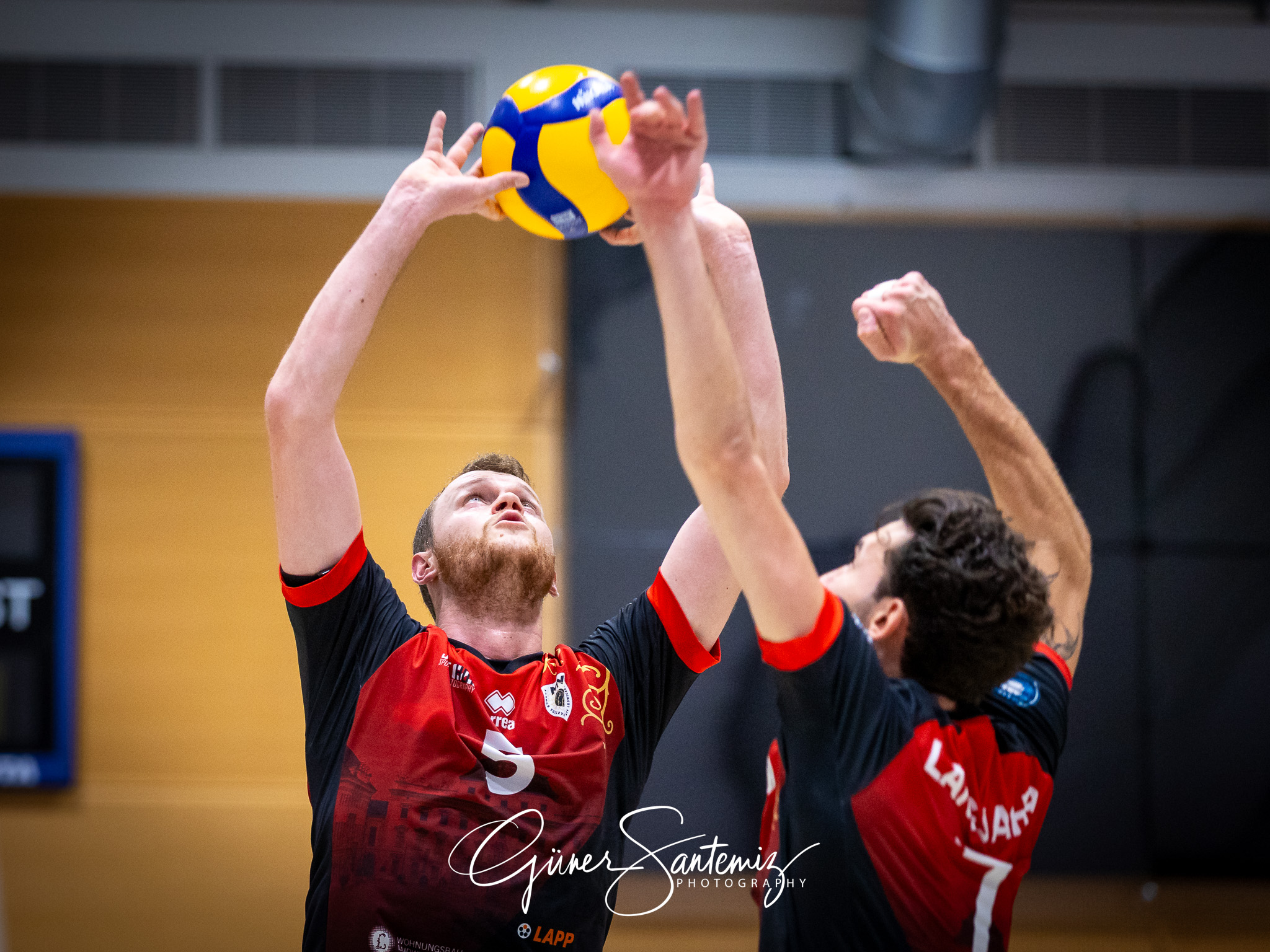 SV Schwaig Volleyball - Barock Volleys MTV Ludwigsburg - Volleyb