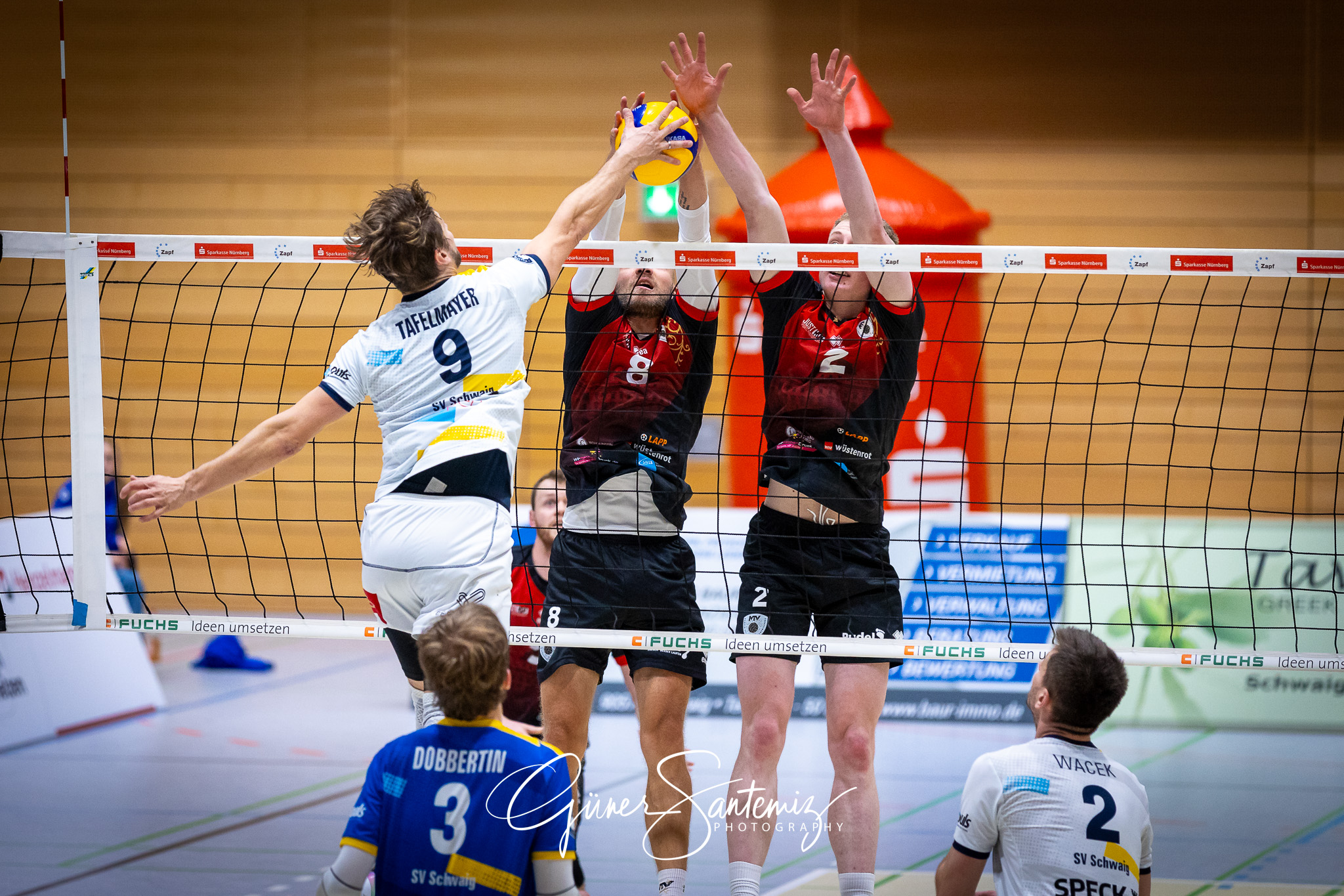 SV Schwaig Volleyball - Barock Volleys MTV Ludwigsburg - Volleyb