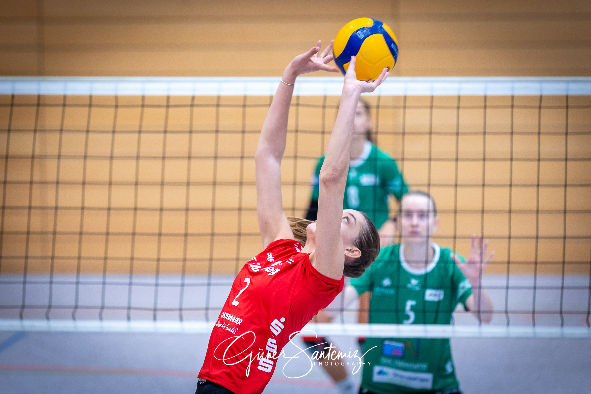 Bayerisches Pokalfinale Volleyball 2024 - Volleyball - Bayerisch