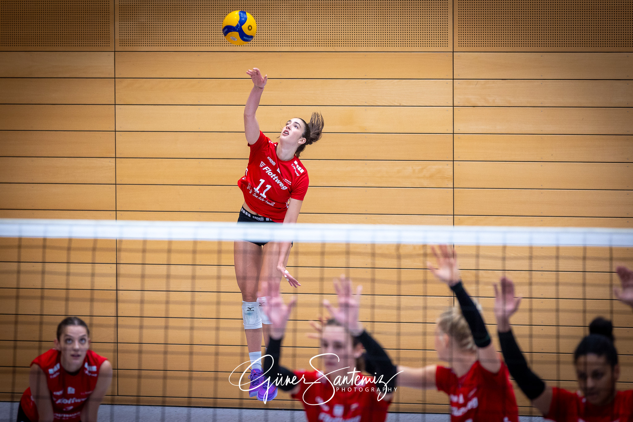 Bayerisches Pokalfinale Volleyball 2024 - Volleyball - Bayerisch