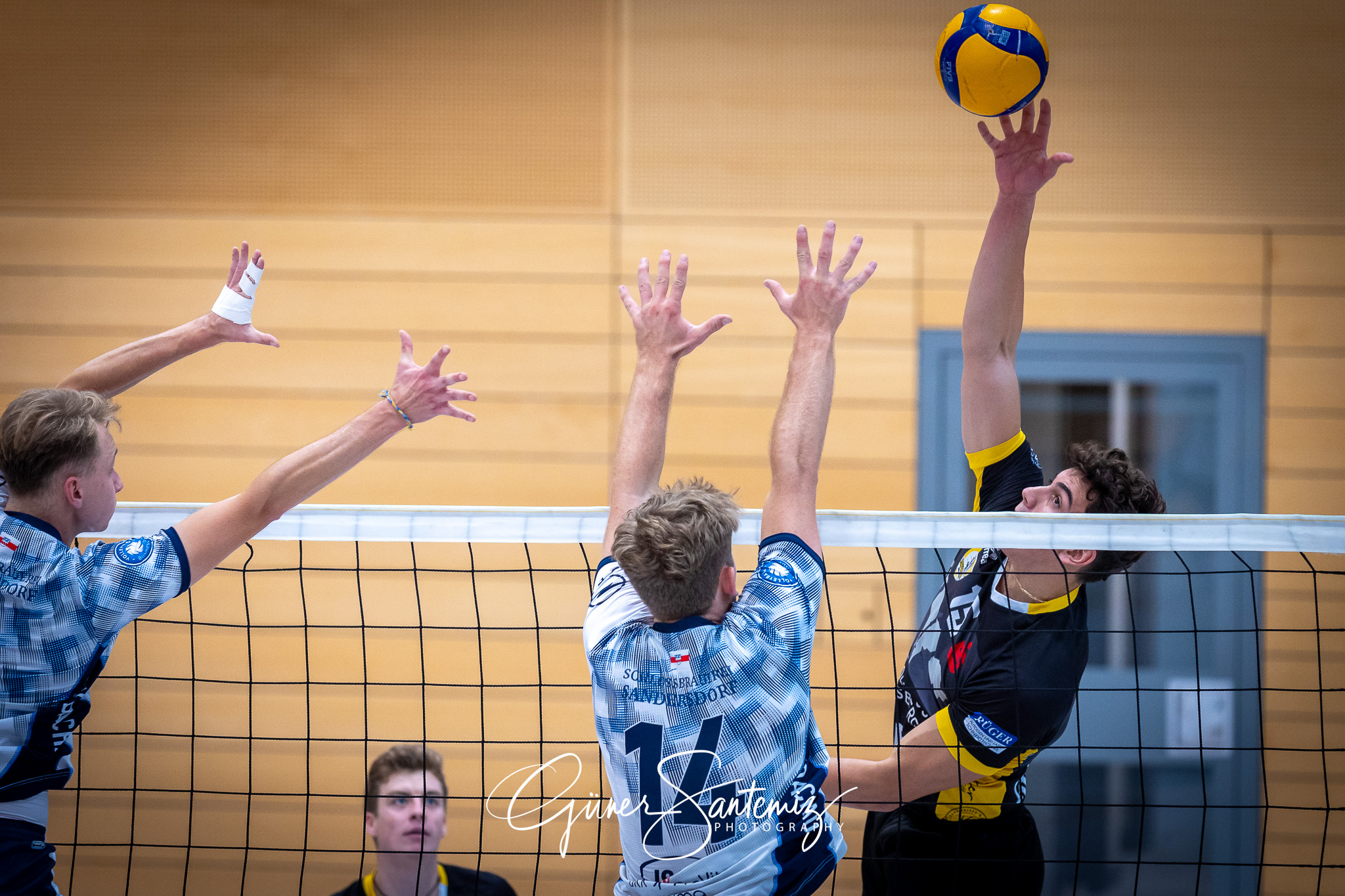 Bayerisches Pokalfinale Volleyball 2024 - Volleyball - Bayerisch