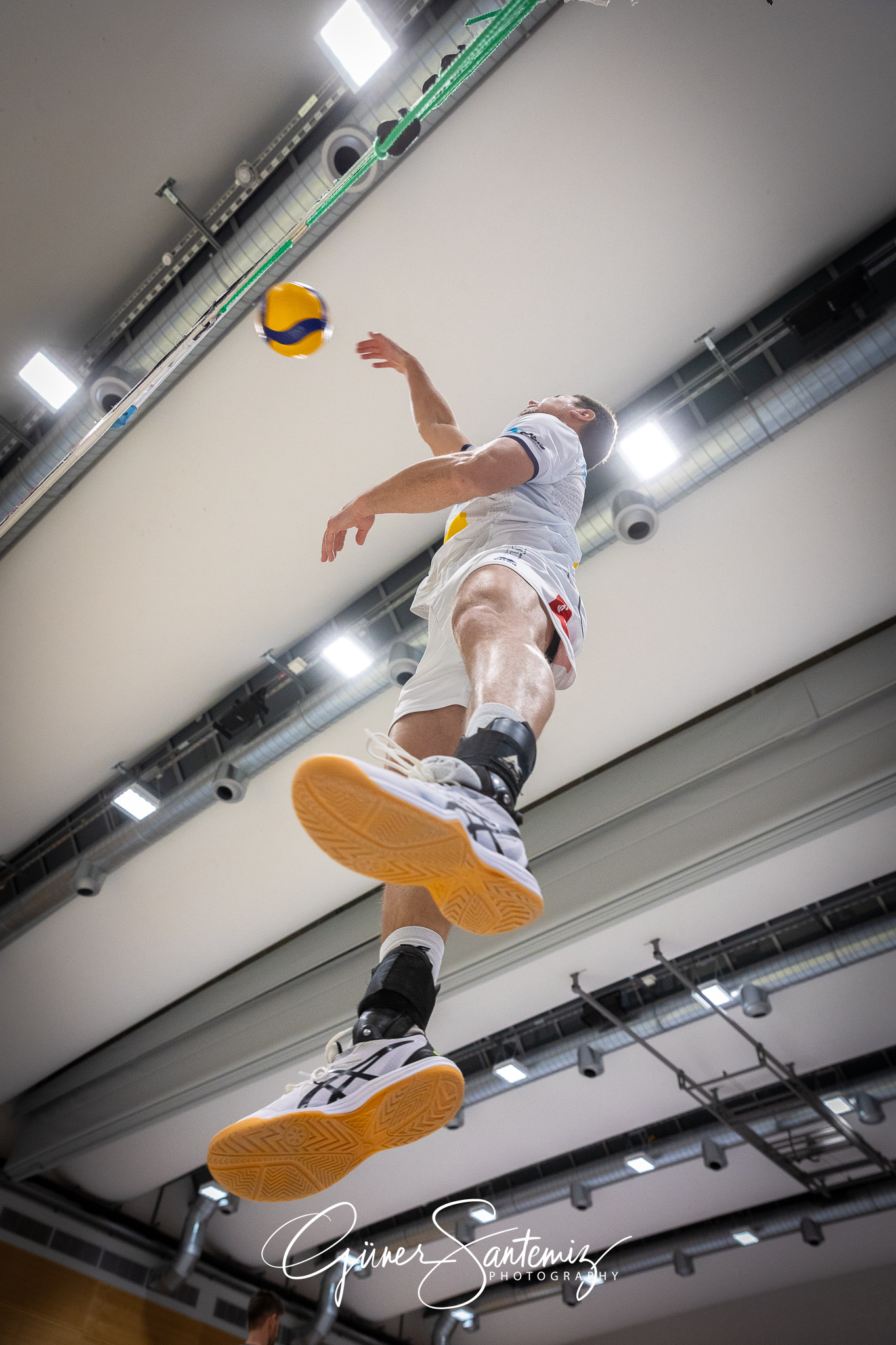 SV Schwaig Volleyball - TV Rottenburg - Volleyball - 2. Bundesli