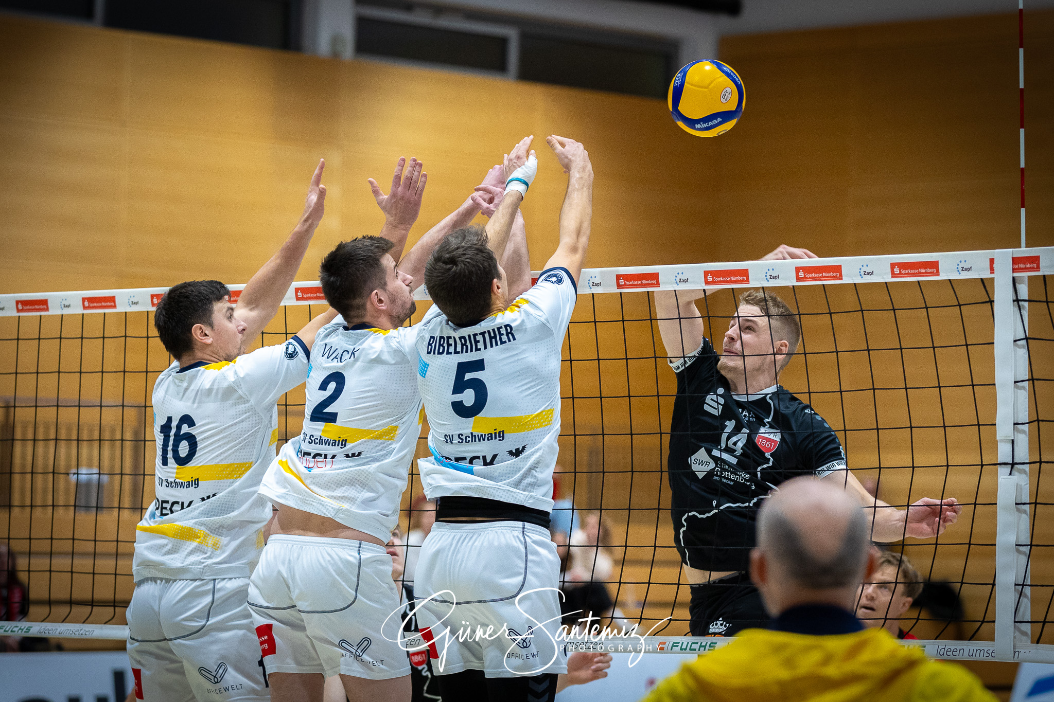 SV Schwaig Volleyball - TV Rottenburg - Volleyball - 2. Bundesli