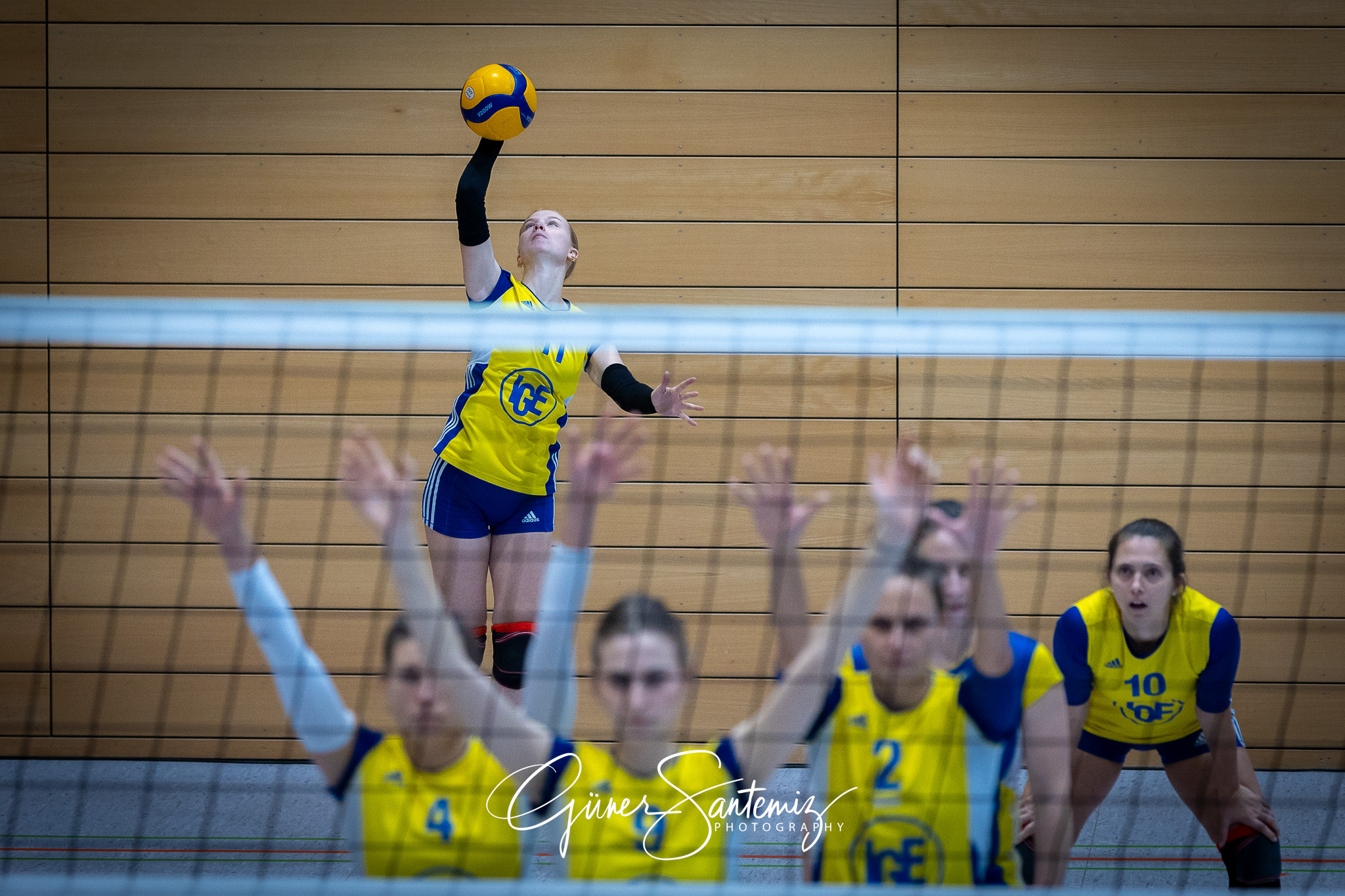 SV Schwaig Volleyball - TSV Eibelstadt II - Volleyball - Landesl