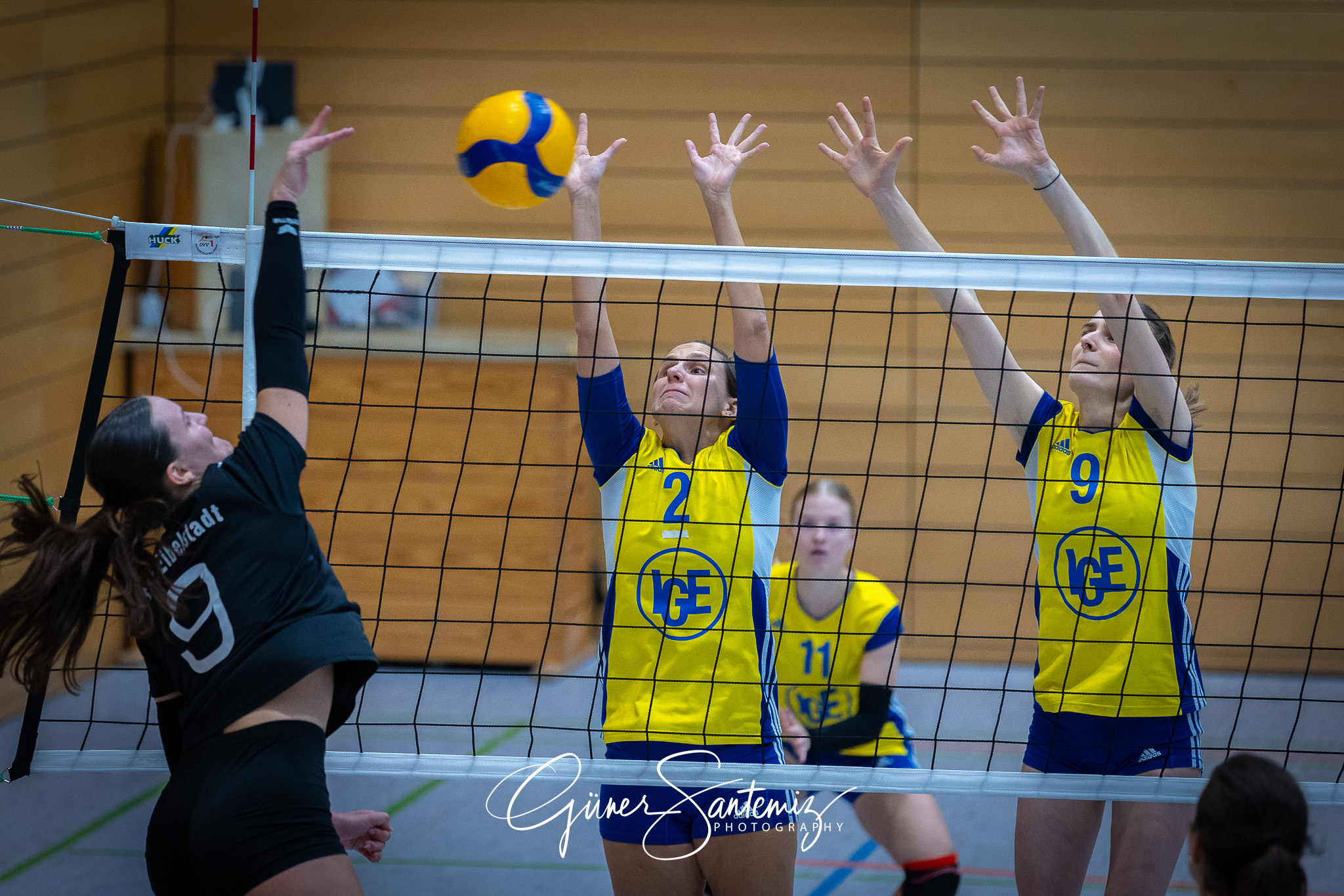 SV Schwaig Volleyball - TSV Eibelstadt II - Volleyball - Landesl