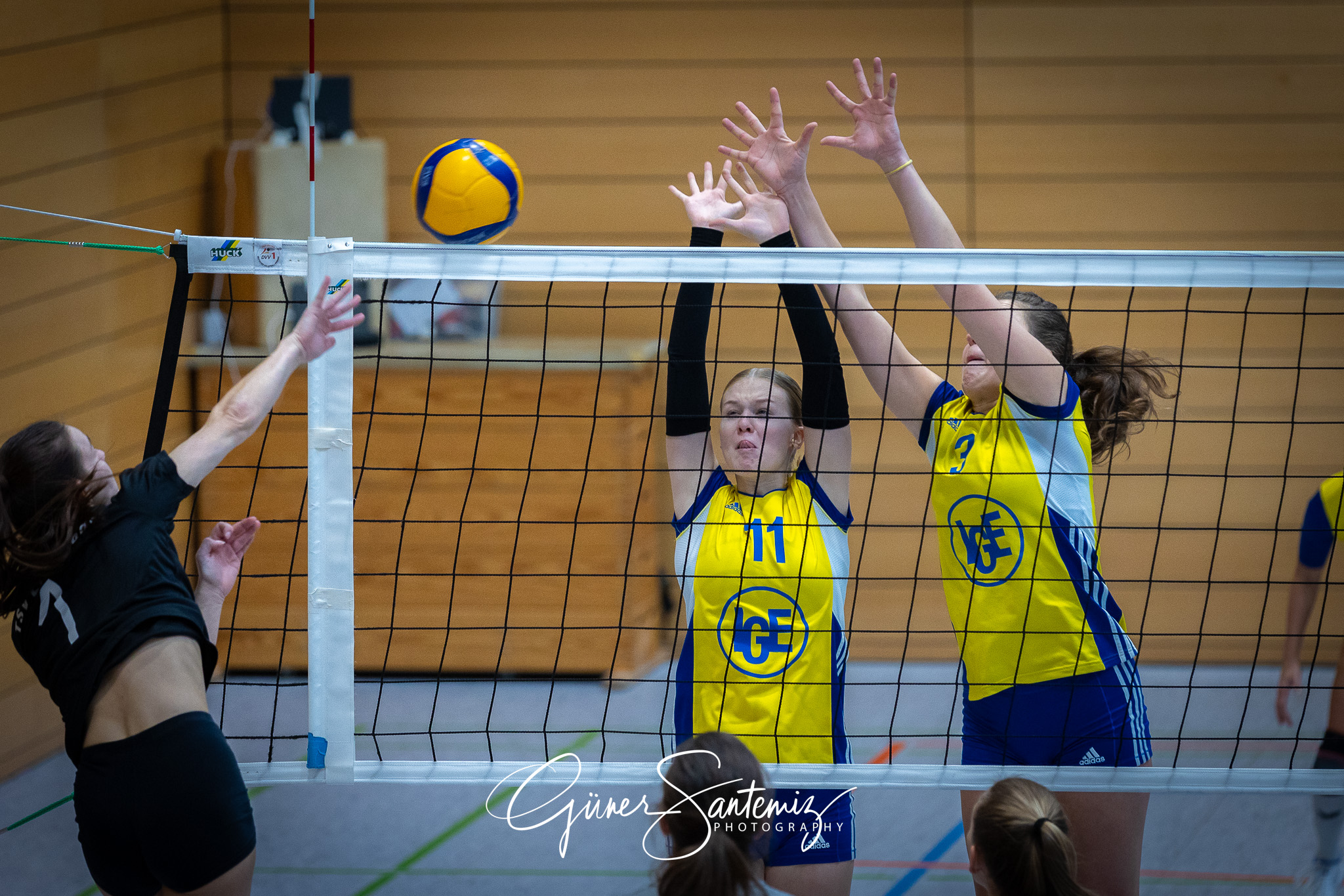 SV Schwaig Volleyball - TSV Eibelstadt II - Volleyball - Landesl