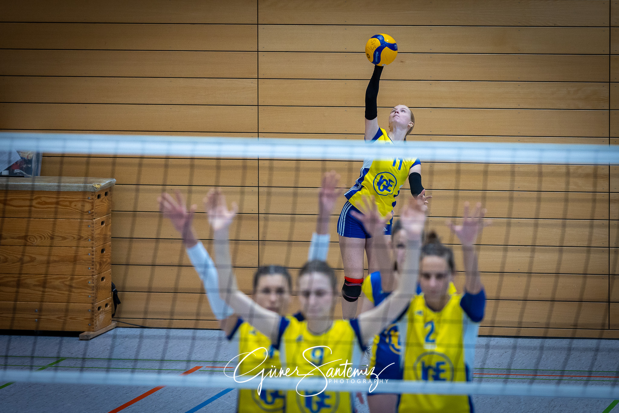 SV Schwaig Volleyball - TSV Eibelstadt II - Volleyball - Landesl