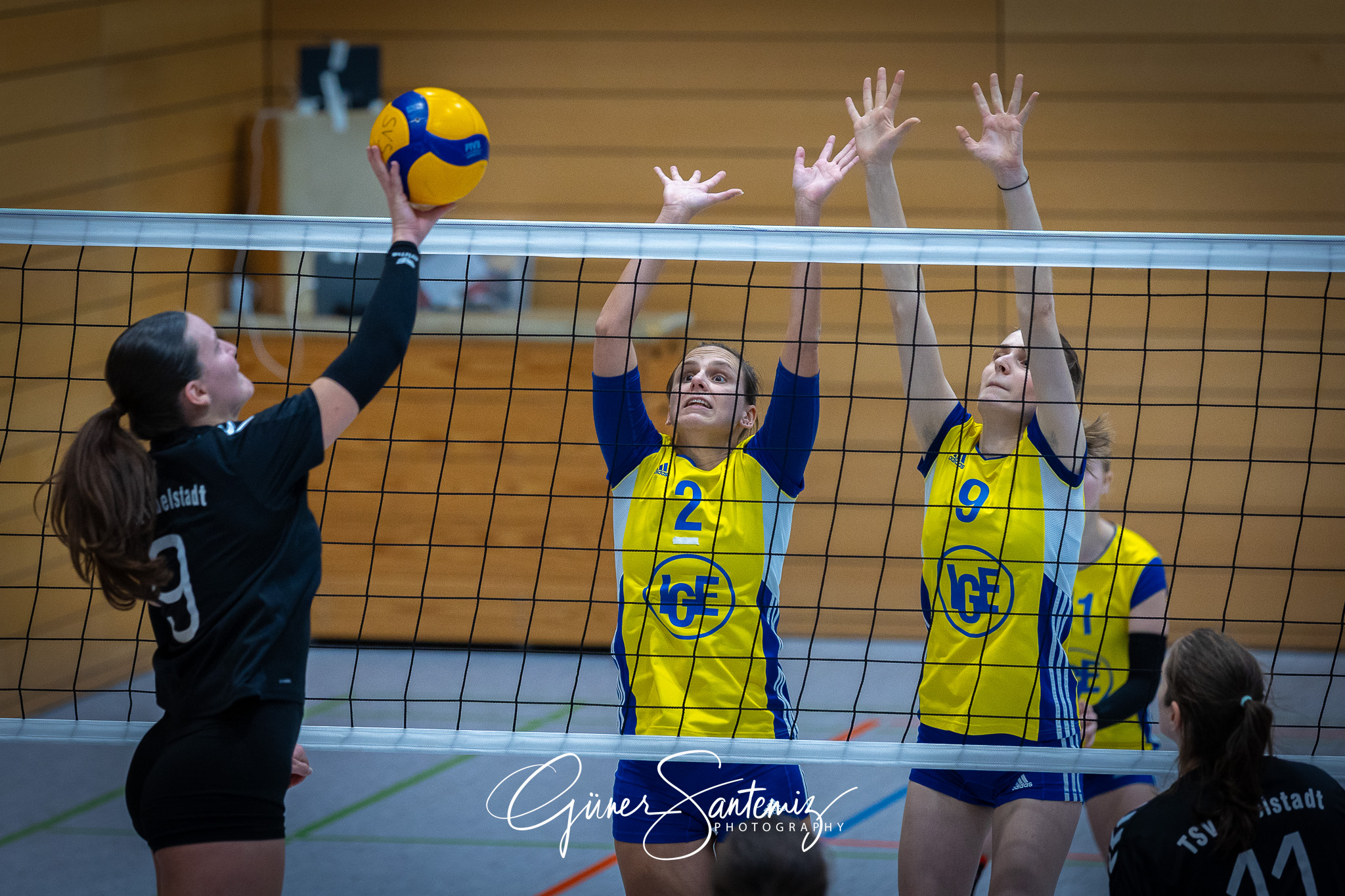 SV Schwaig Volleyball - TSV Eibelstadt II - Volleyball - Landesl