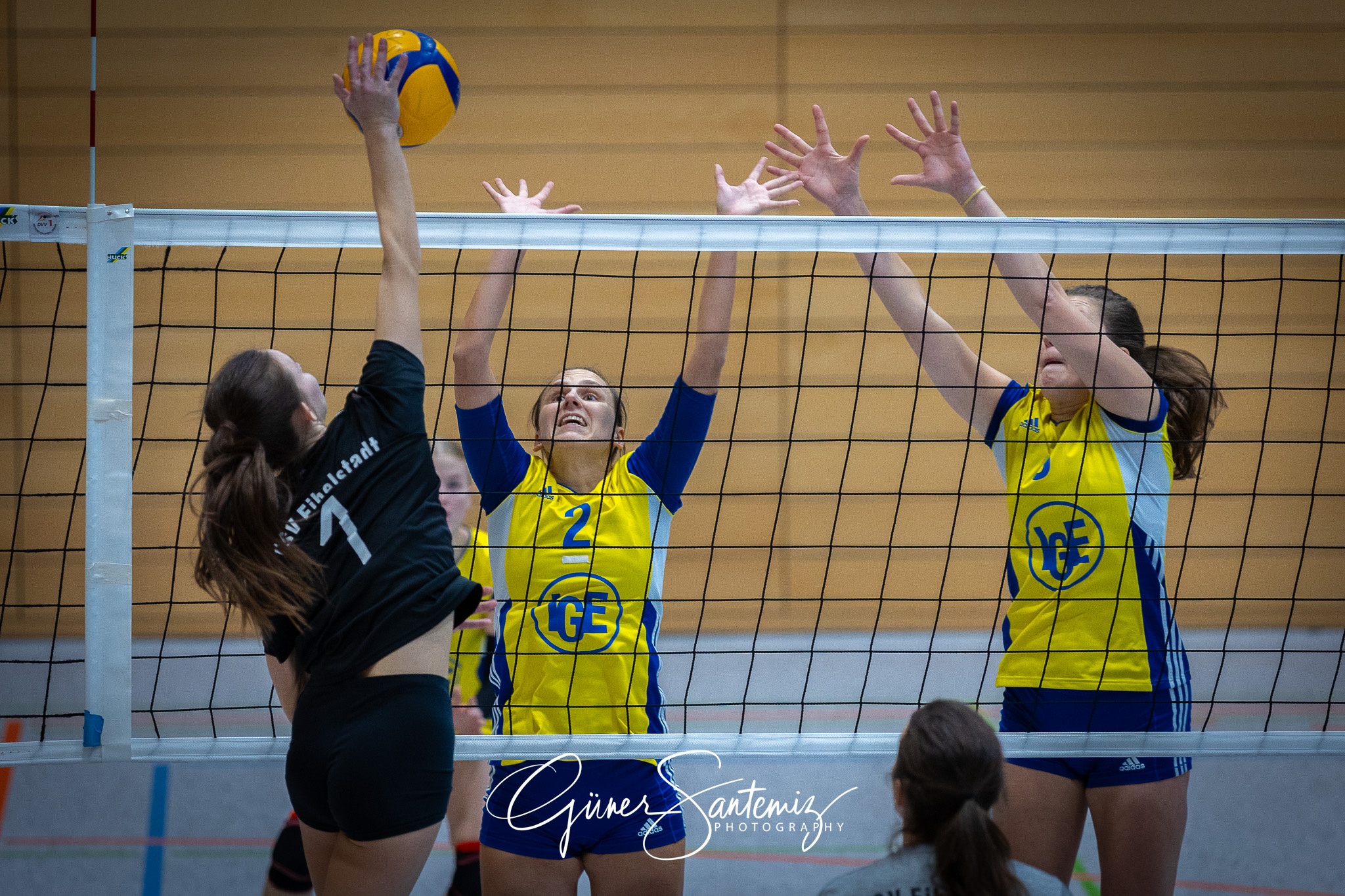 SV Schwaig Volleyball - TSV Eibelstadt II - Volleyball - Landesl