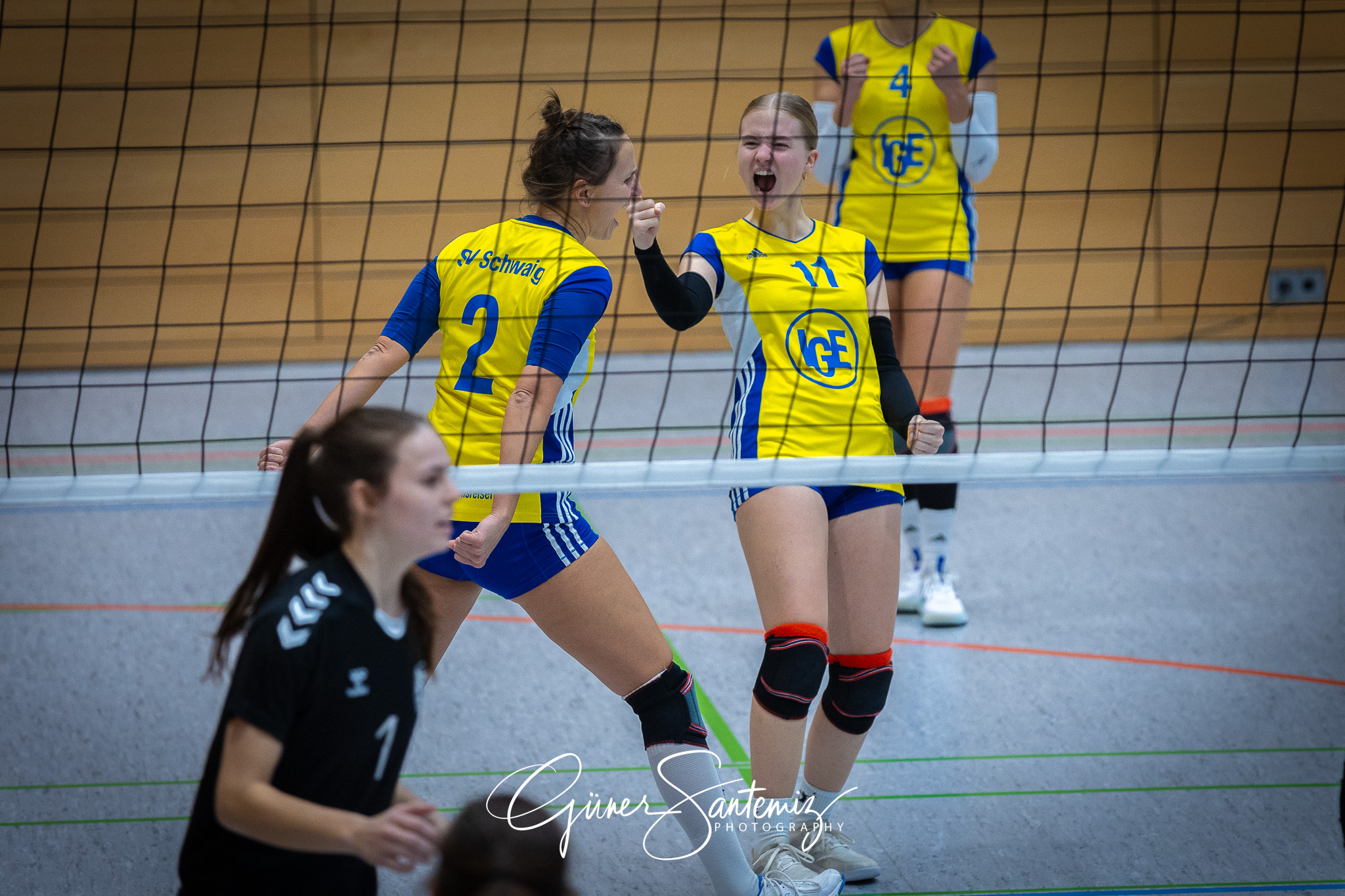 SV Schwaig Volleyball - TSV Eibelstadt II - Volleyball - Landesl