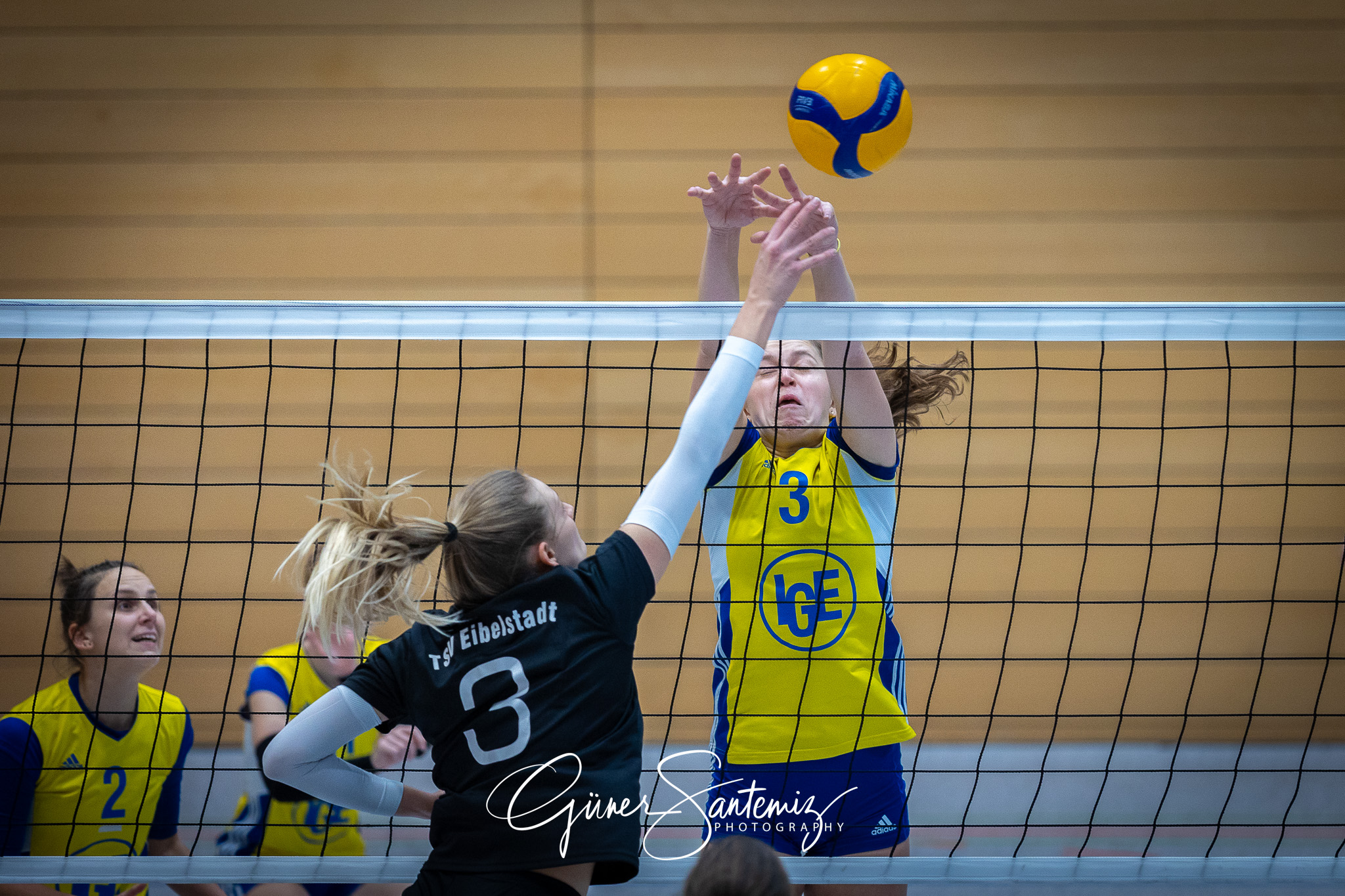 SV Schwaig Volleyball - TSV Eibelstadt II - Volleyball - Landesl