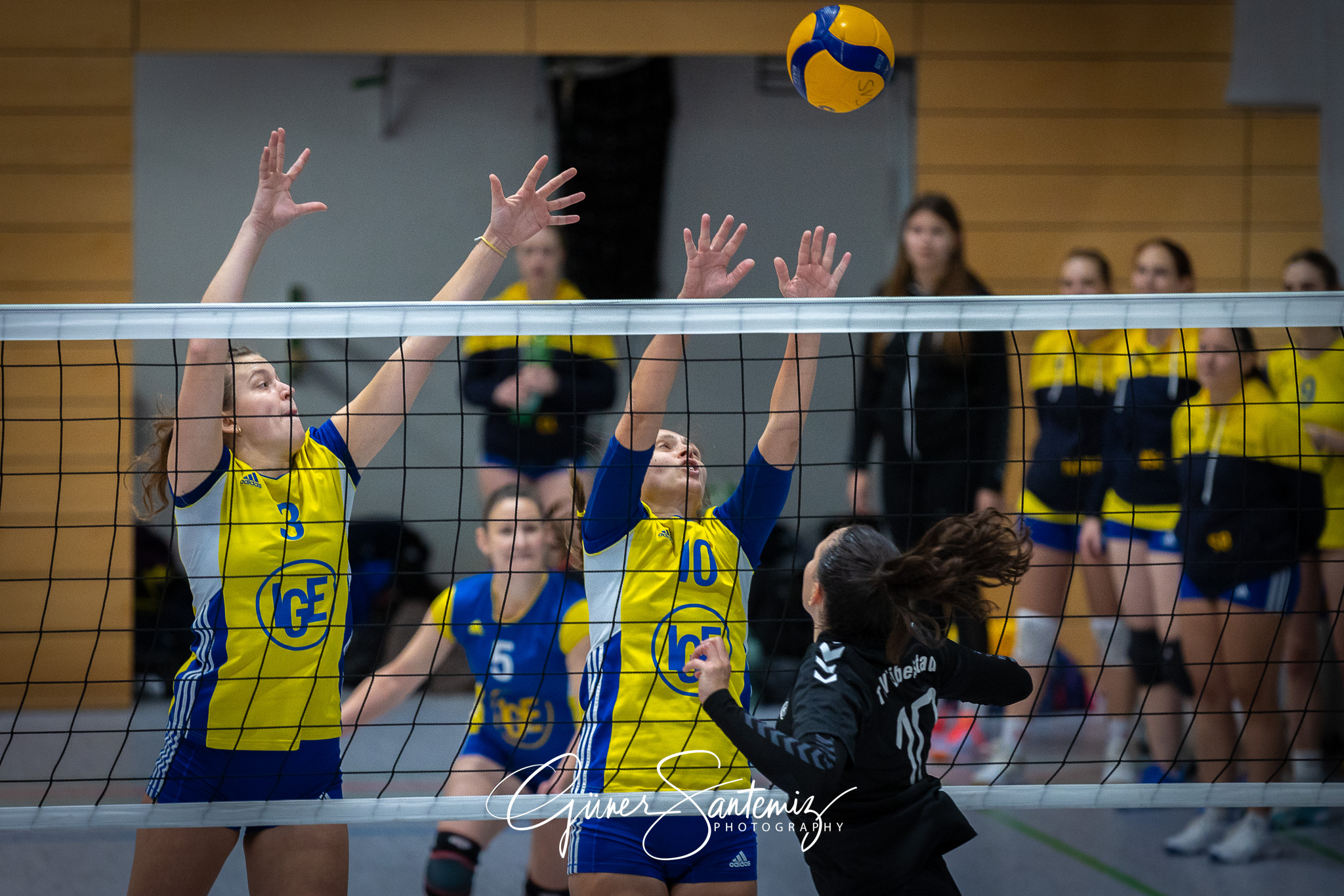 SV Schwaig Volleyball - TSV Eibelstadt II - Volleyball - Landesl