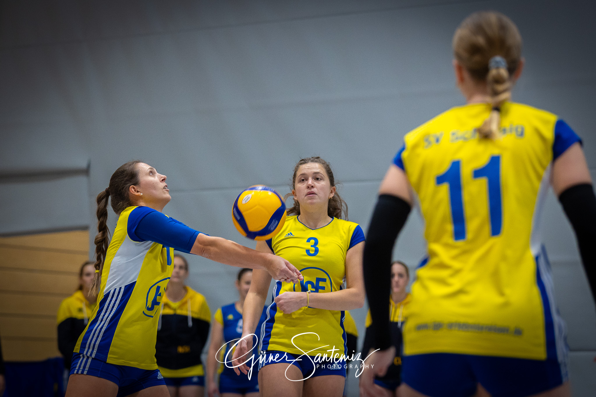 SV Schwaig Volleyball - TSV Eibelstadt II - Volleyball - Landesl