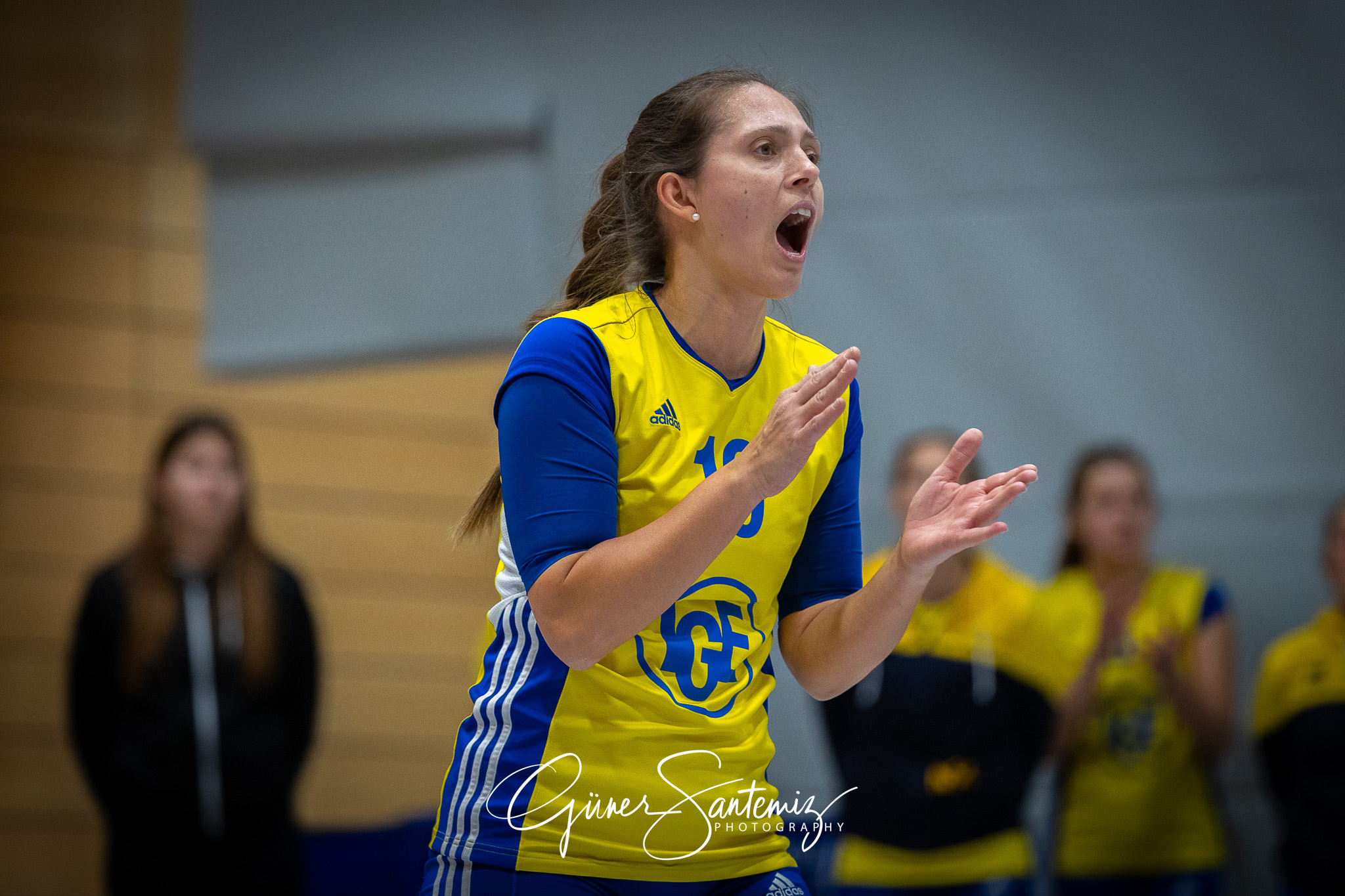 SV Schwaig Volleyball - TSV Eibelstadt II - Volleyball - Landesl