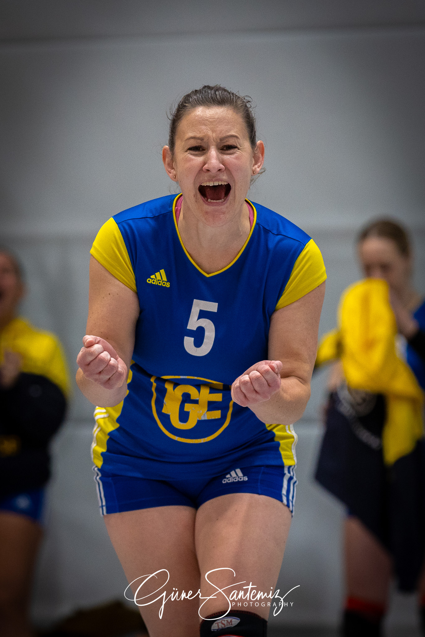 SV Schwaig Volleyball - TSV Eibelstadt II - Volleyball - Landesl