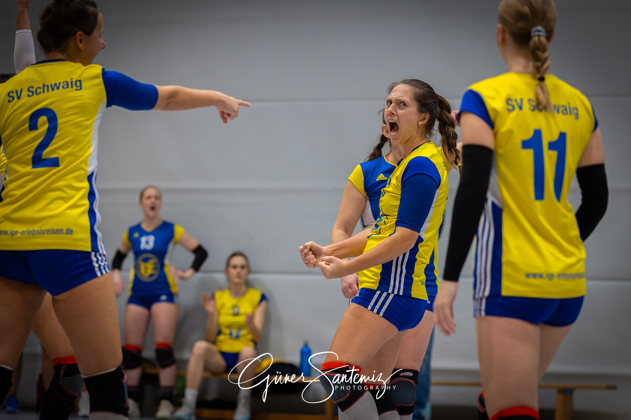 SV Schwaig Volleyball - TSV Eibelstadt II - Volleyball - Landesl