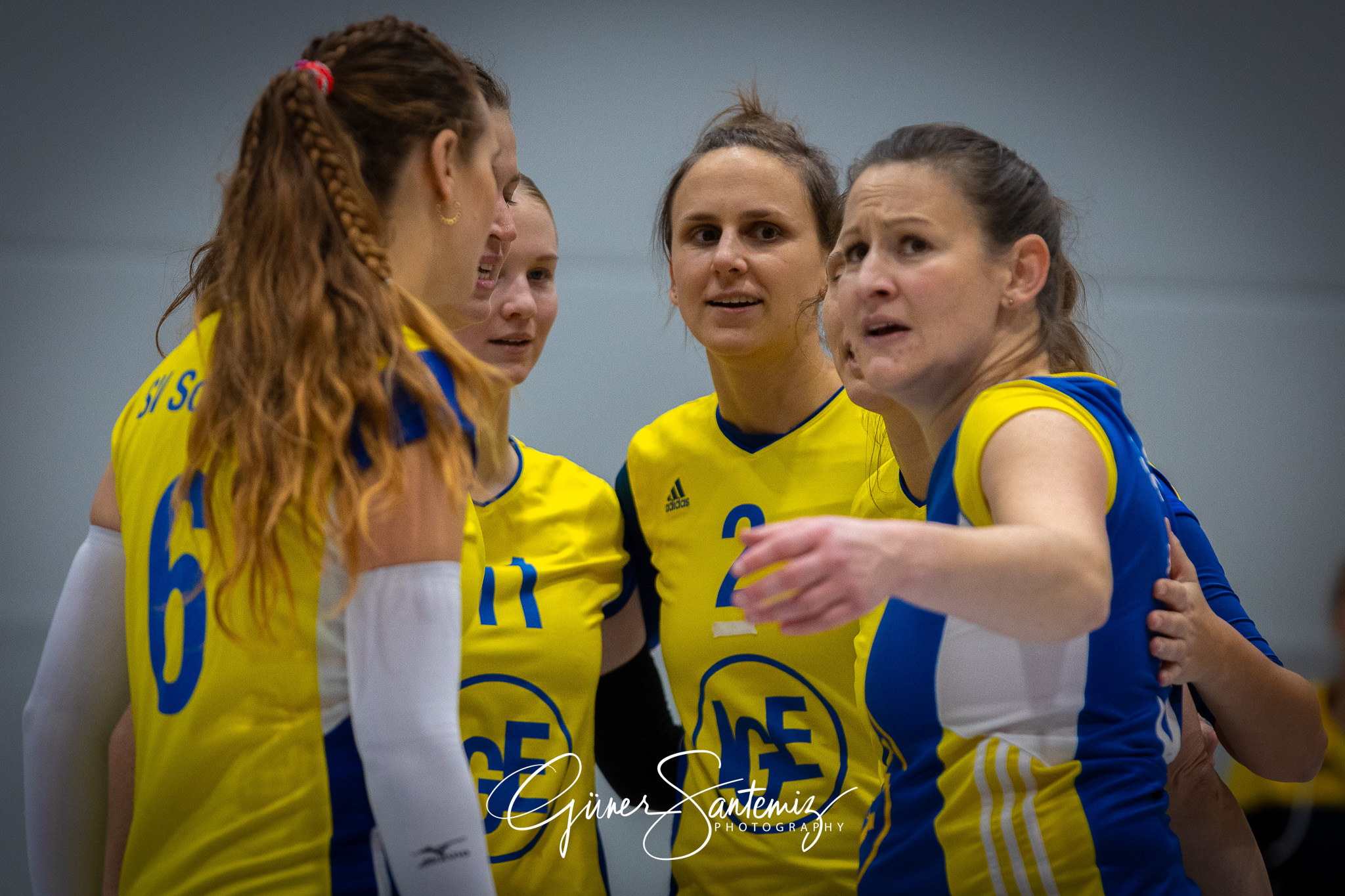 SV Schwaig Volleyball - TSV Eibelstadt II - Volleyball - Landesl