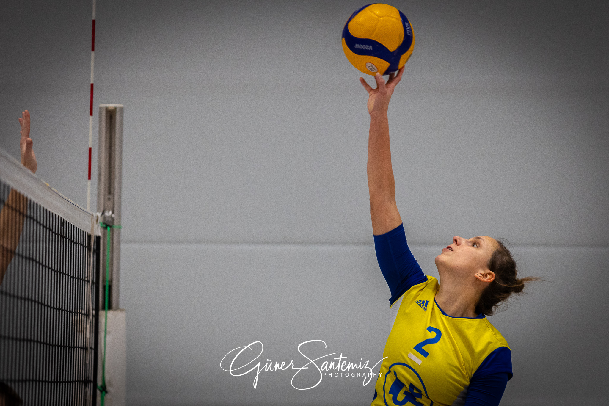 SV Schwaig Volleyball - TSV Eibelstadt II - Volleyball - Landesl