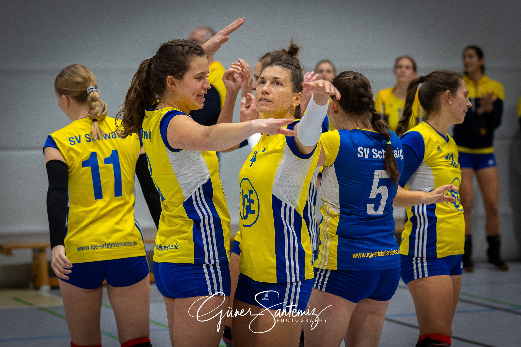SV Schwaig Volleyball - TSV Eibelstadt II - Volleyball - Landesl