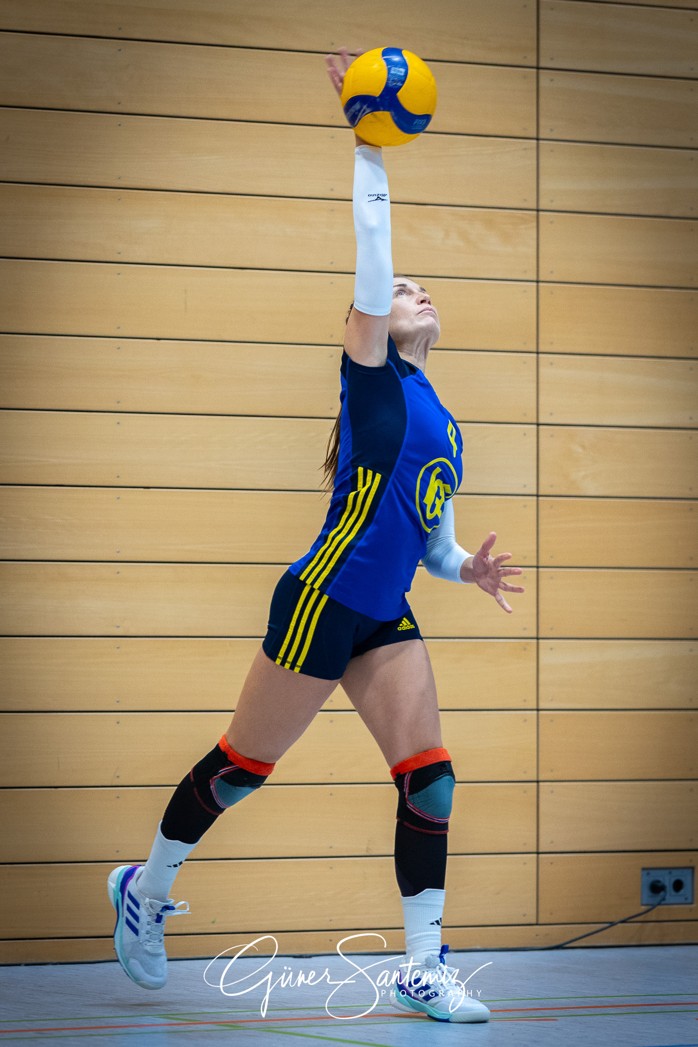 SV Schwaig Volleyball - SG SGS/TV Erlangen II - Volleyball - Lan