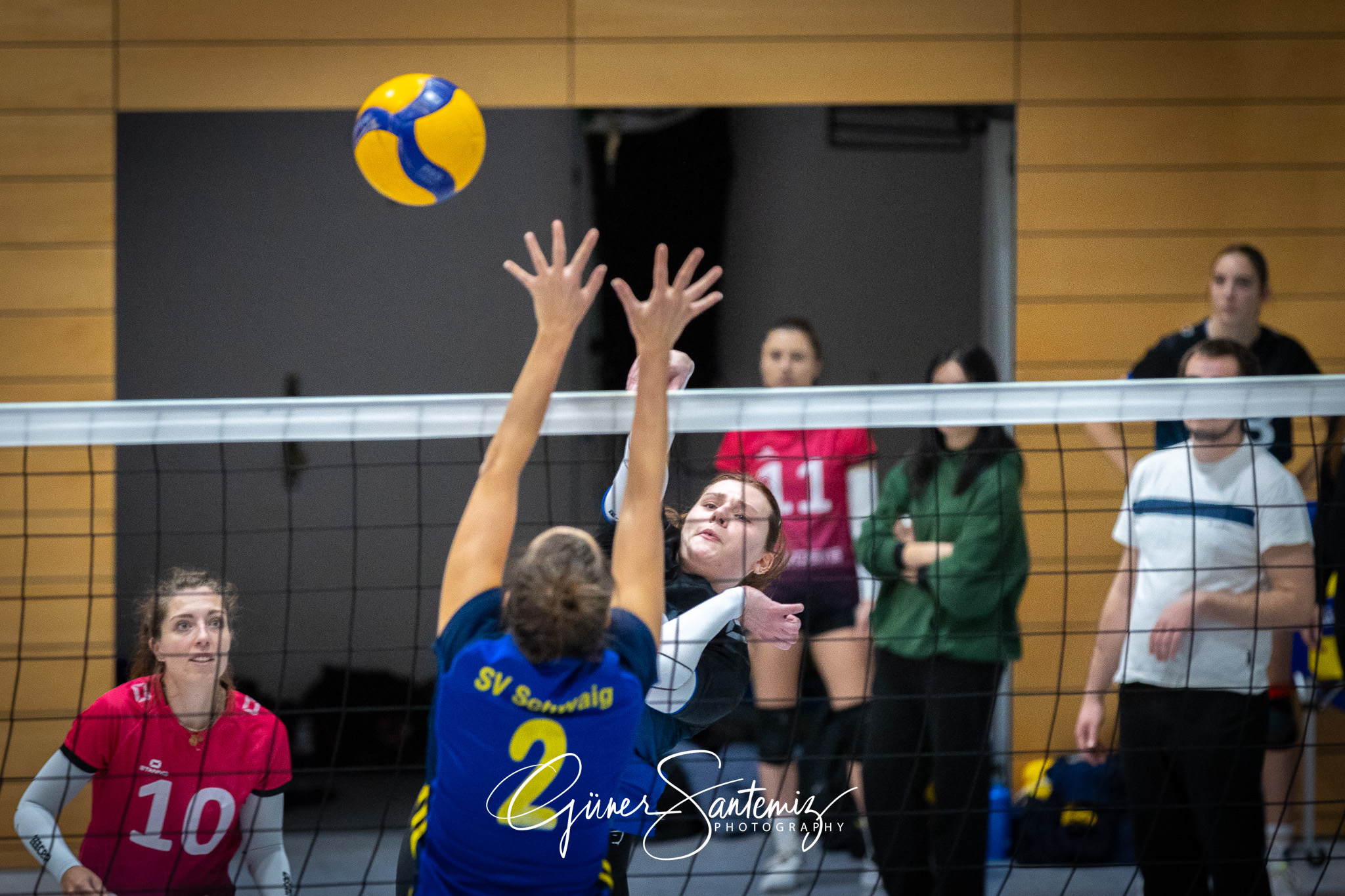 SV Schwaig Volleyball - SG SGS/TV Erlangen II - Volleyball - Lan
