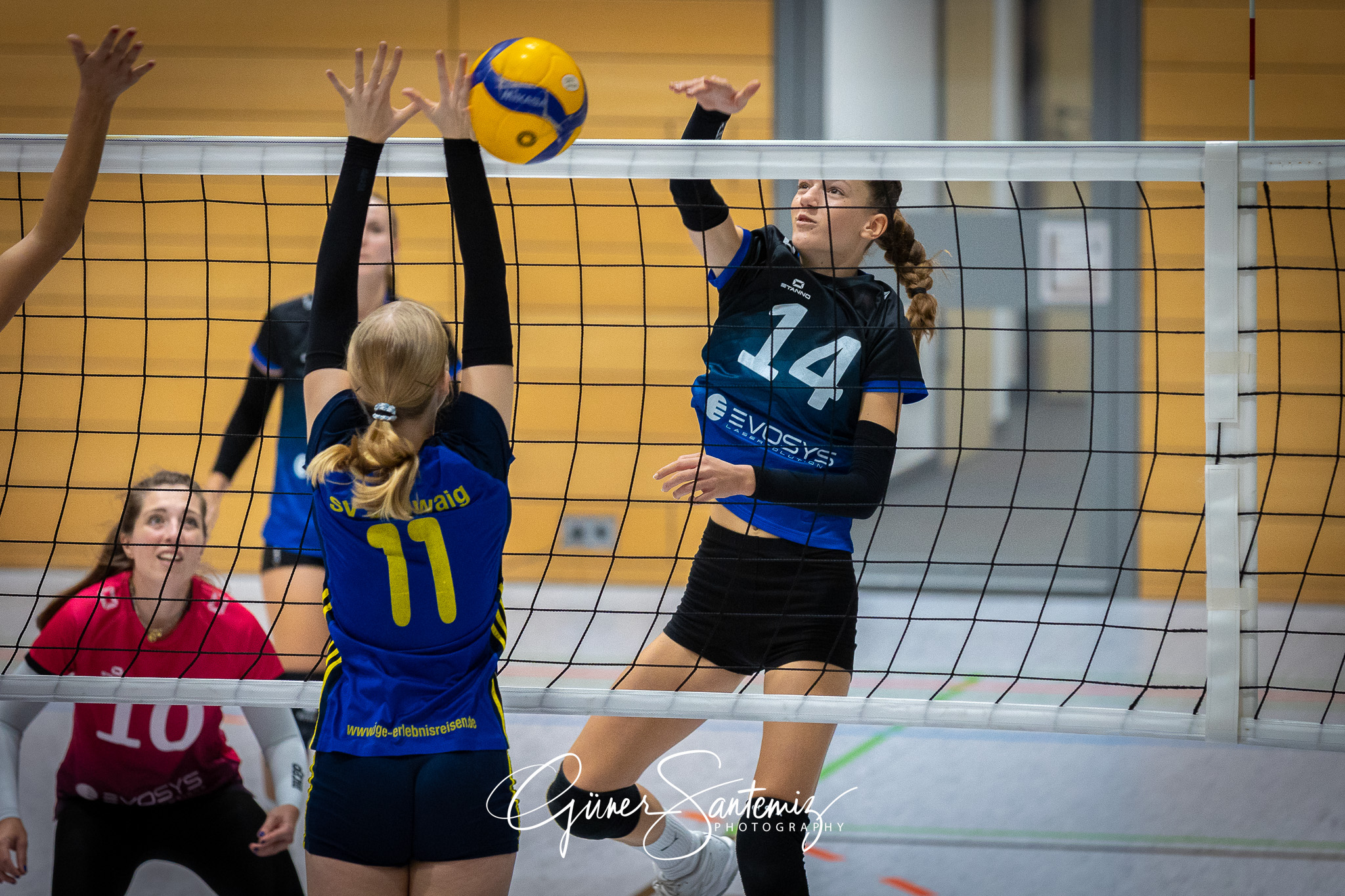 SV Schwaig Volleyball - SG SGS/TV Erlangen II - Volleyball - Lan