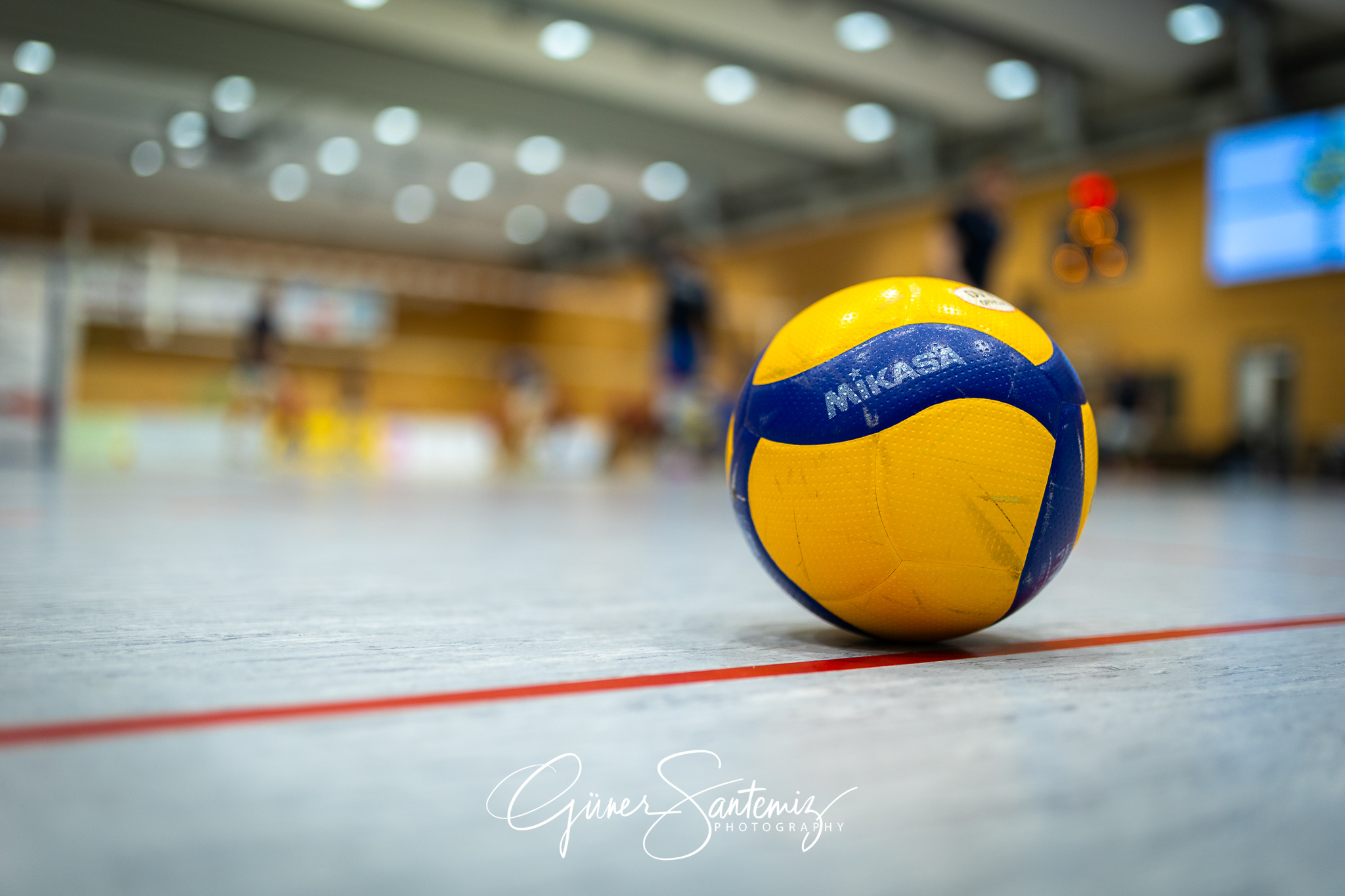 SV Schwaig Volleyball - CERATONIA Volleys Eltmann - Volleyball -