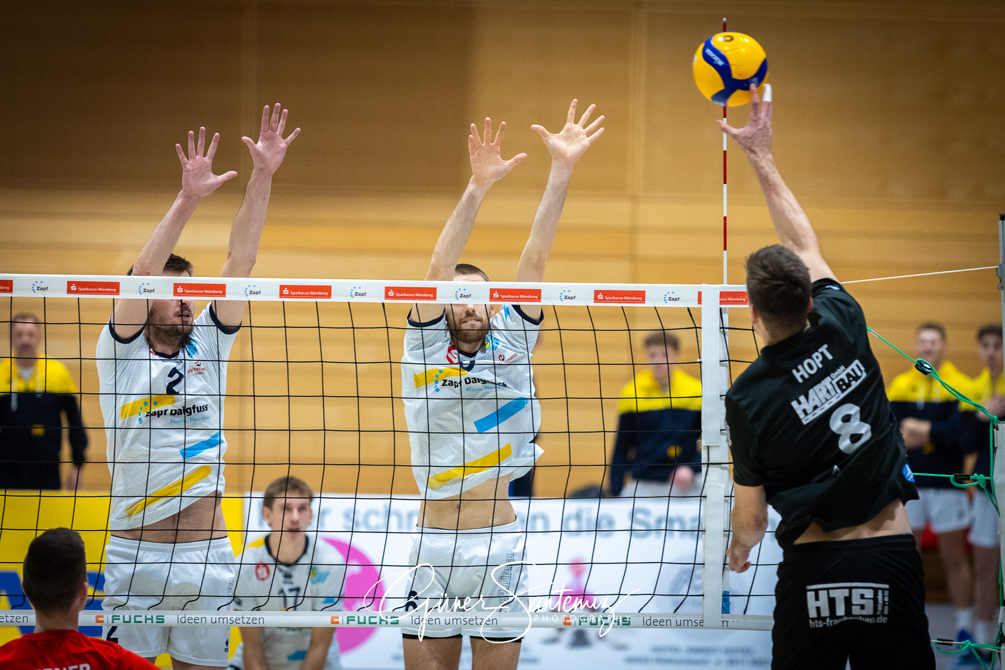 SV Schwaig Volleyball - CERATONIA Volleys Eltmann - Volleyball -