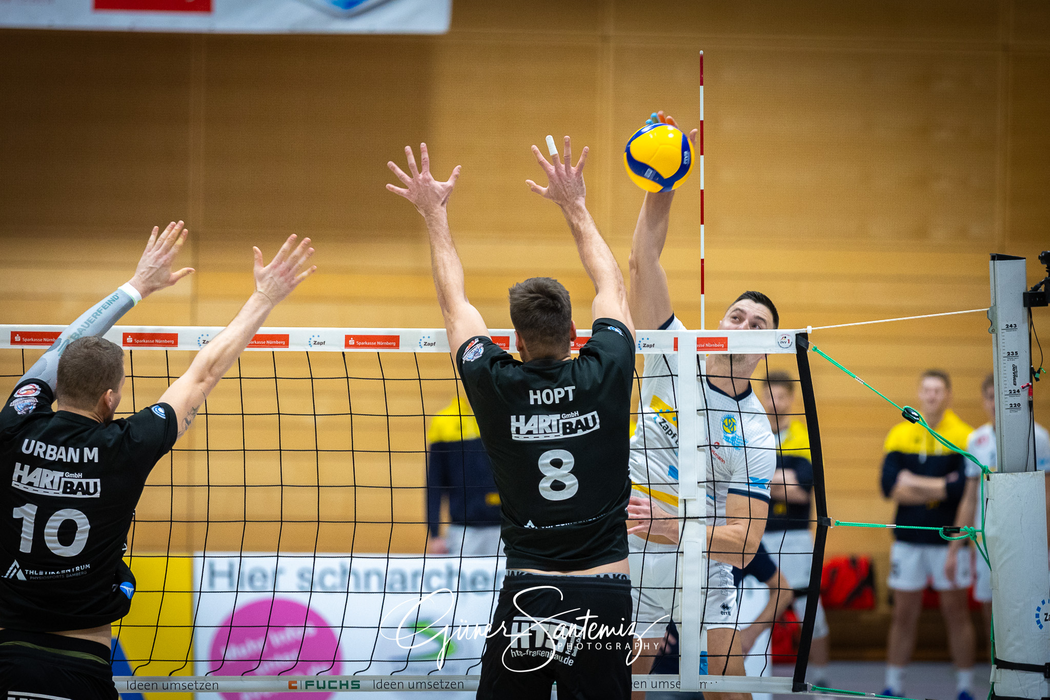 SV Schwaig Volleyball - CERATONIA Volleys Eltmann - Volleyball -