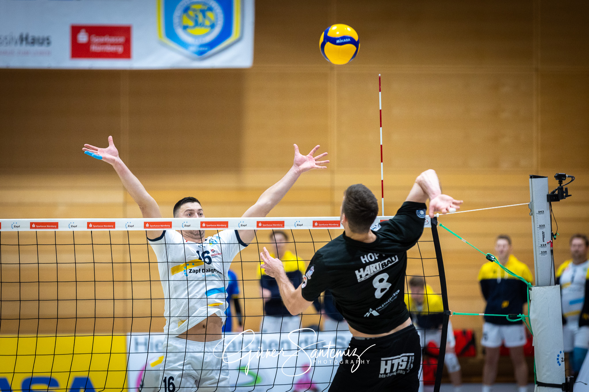 SV Schwaig Volleyball - CERATONIA Volleys Eltmann - Volleyball -