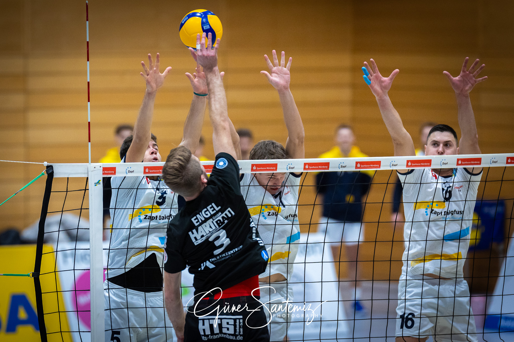 SV Schwaig Volleyball - CERATONIA Volleys Eltmann - Volleyball -