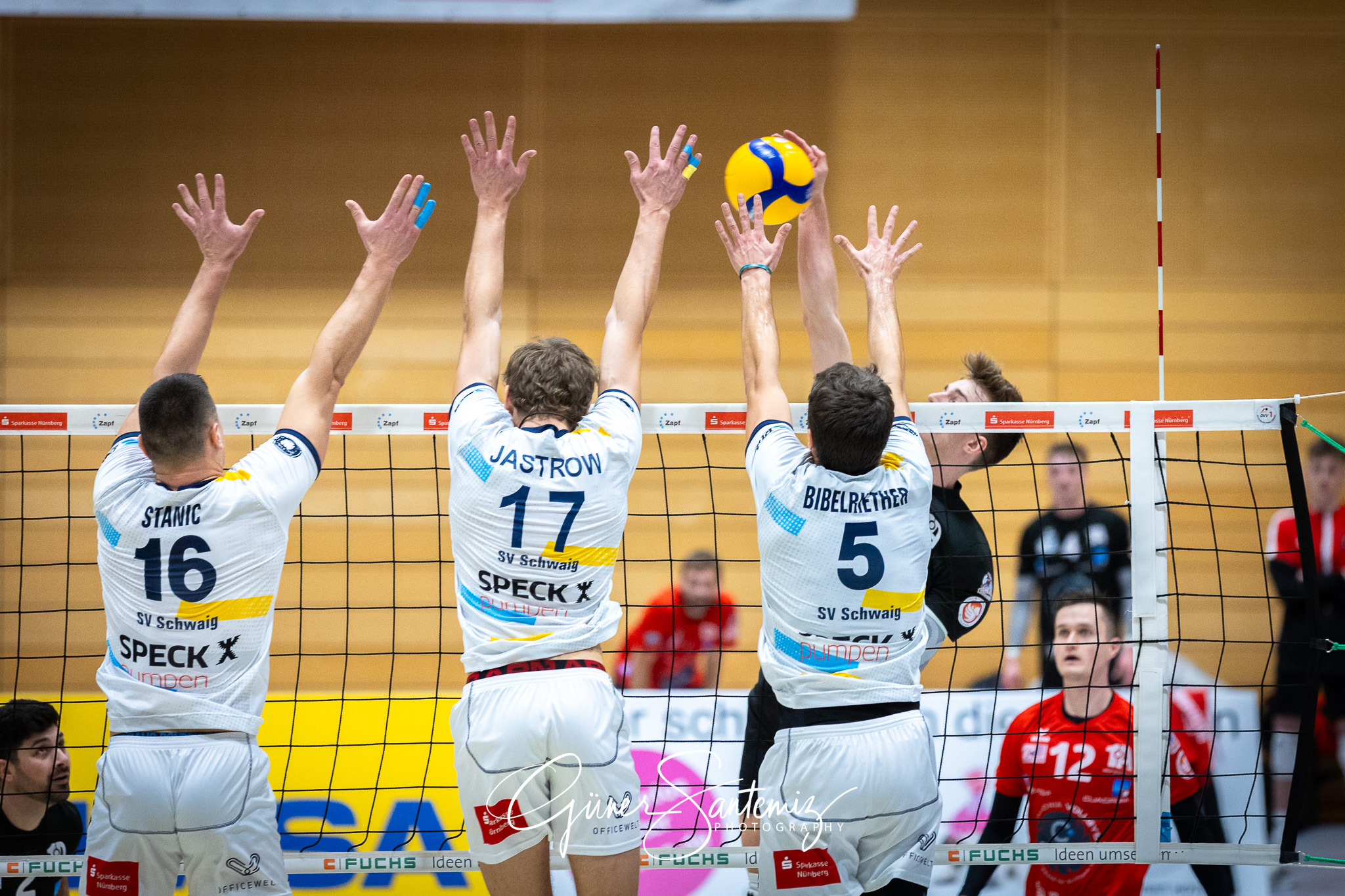 SV Schwaig Volleyball - CERATONIA Volleys Eltmann - Volleyball -