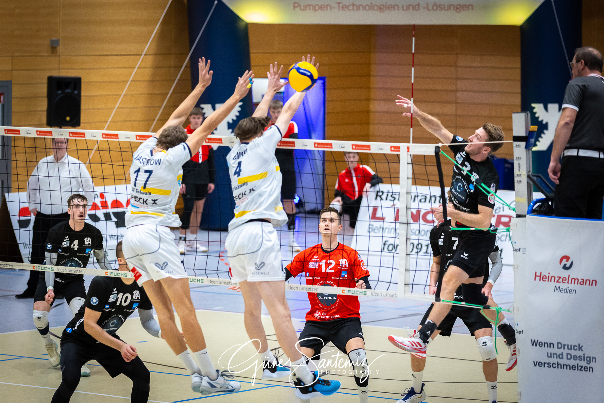 SV Schwaig Volleyball - CERATONIA Volleys Eltmann - Volleyball -