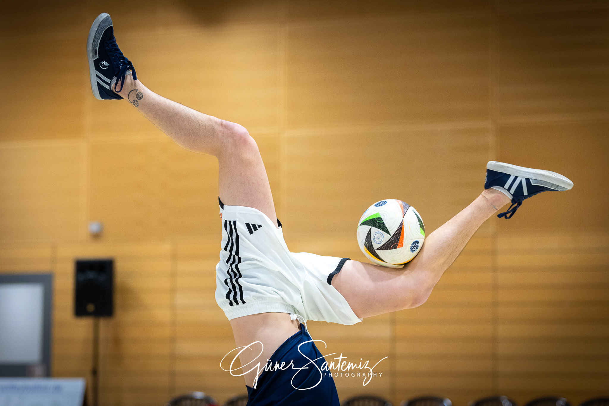 SV Schwaig Volleyball - TuS Kriftel - Volleyball - 2. Bundesliga