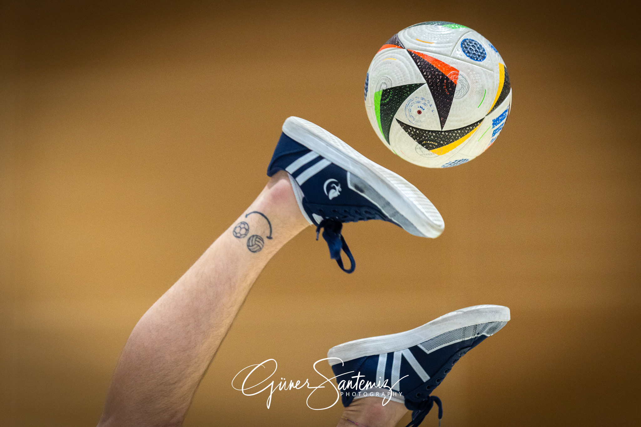 SV Schwaig Volleyball - TuS Kriftel - Volleyball - 2. Bundesliga