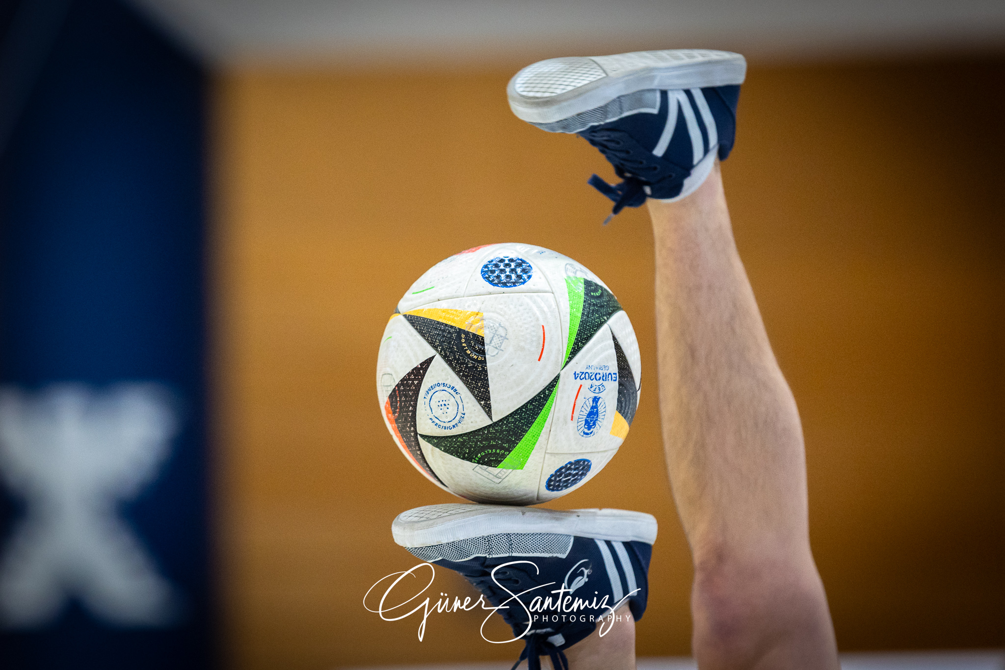 SV Schwaig Volleyball - TuS Kriftel - Volleyball - 2. Bundesliga