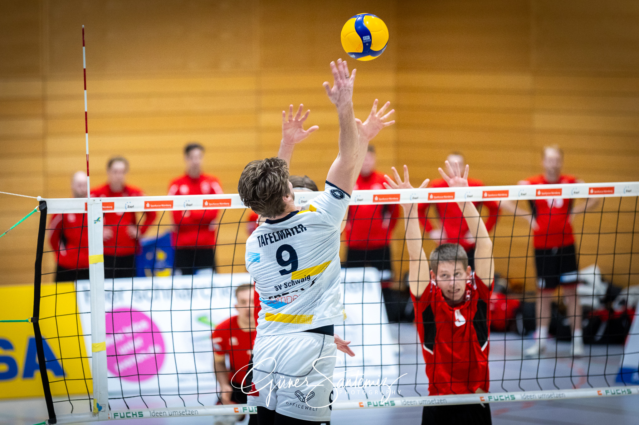 SV Schwaig Volleyball - TuS Kriftel - Volleyball - 2. Bundesliga