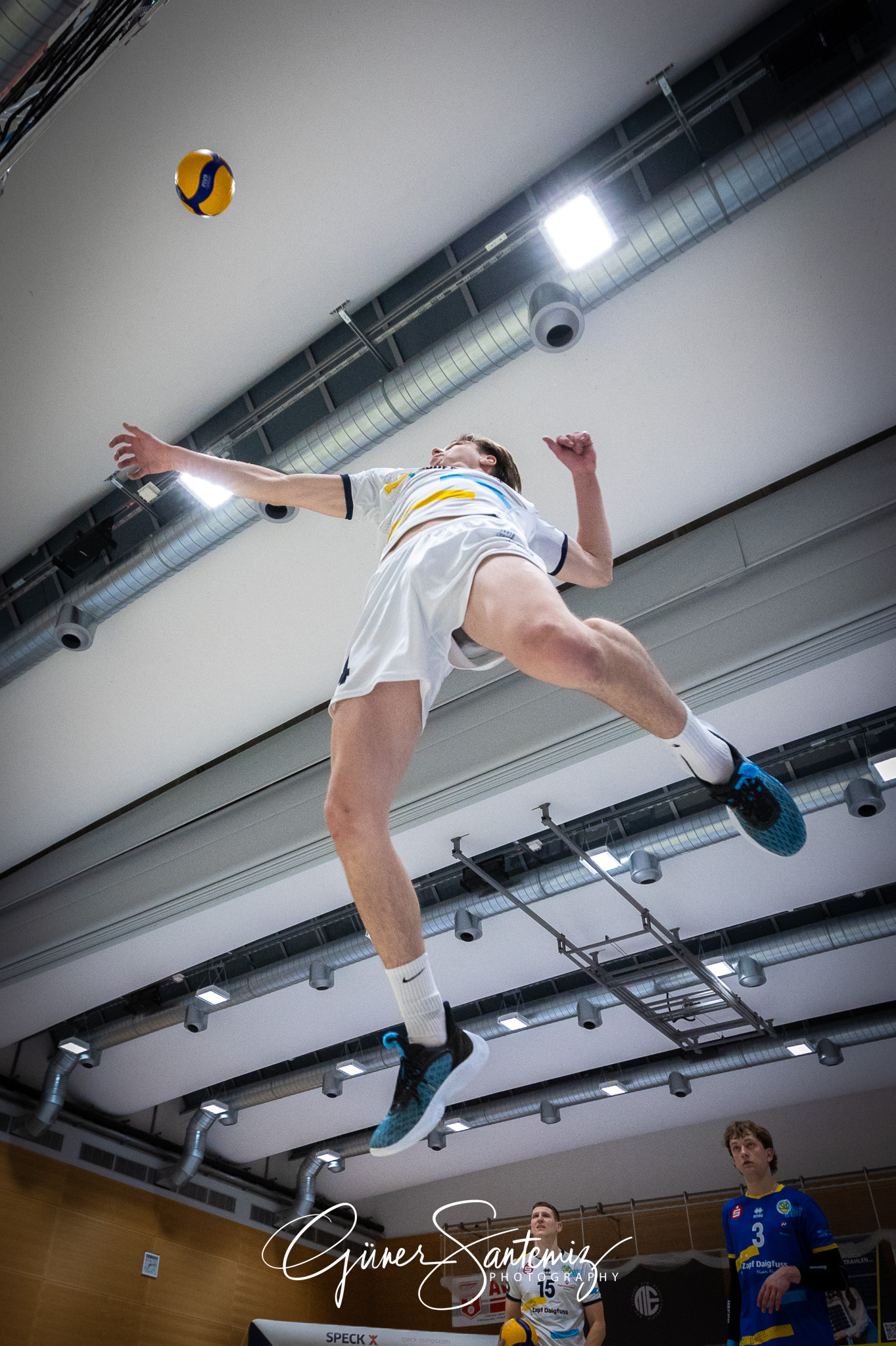 SV Schwaig Volleyball - Dentalservice Gust VC Dresden - Volleyba