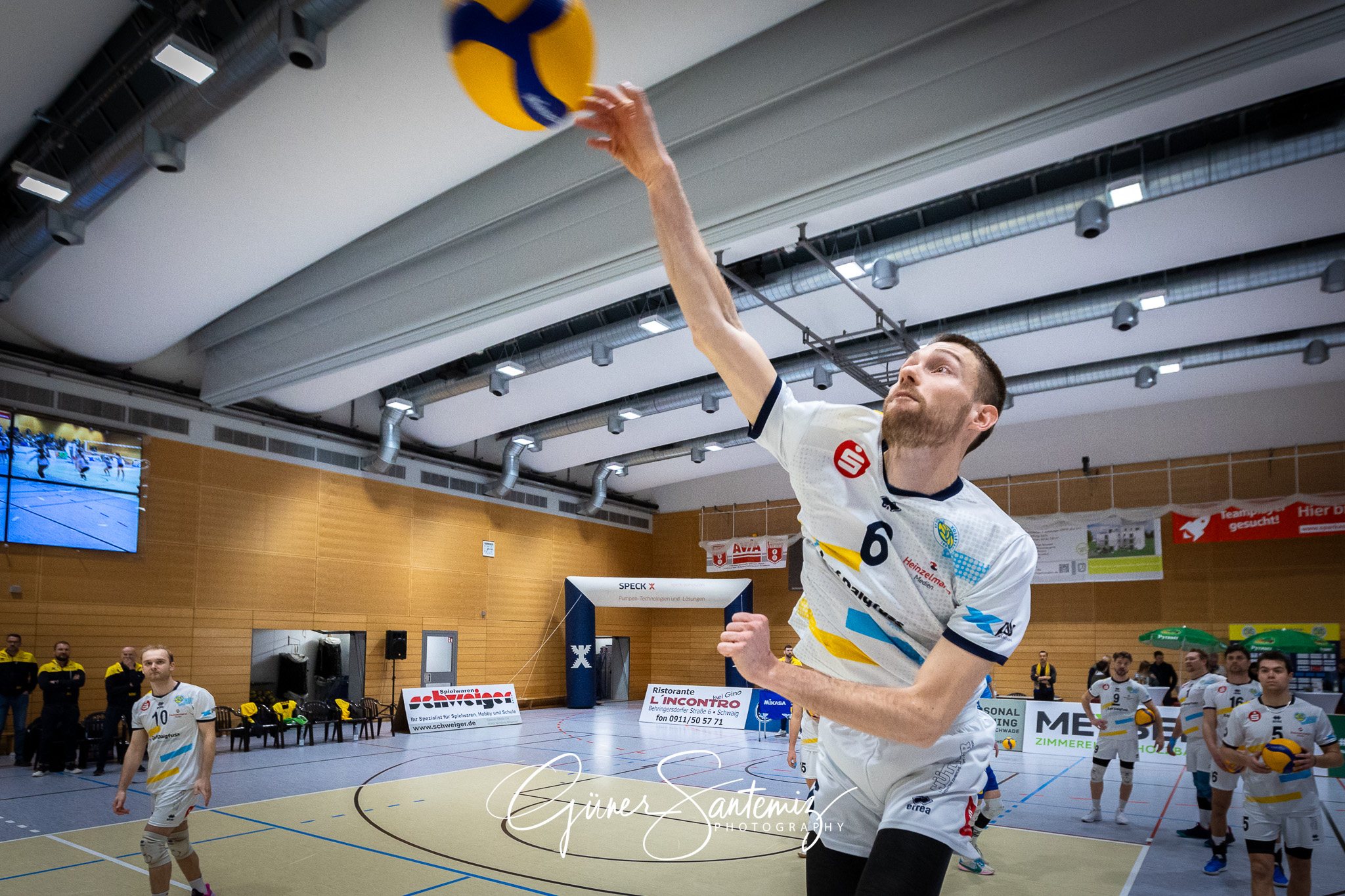 SV Schwaig Volleyball - Dentalservice Gust VC Dresden - Volleyba