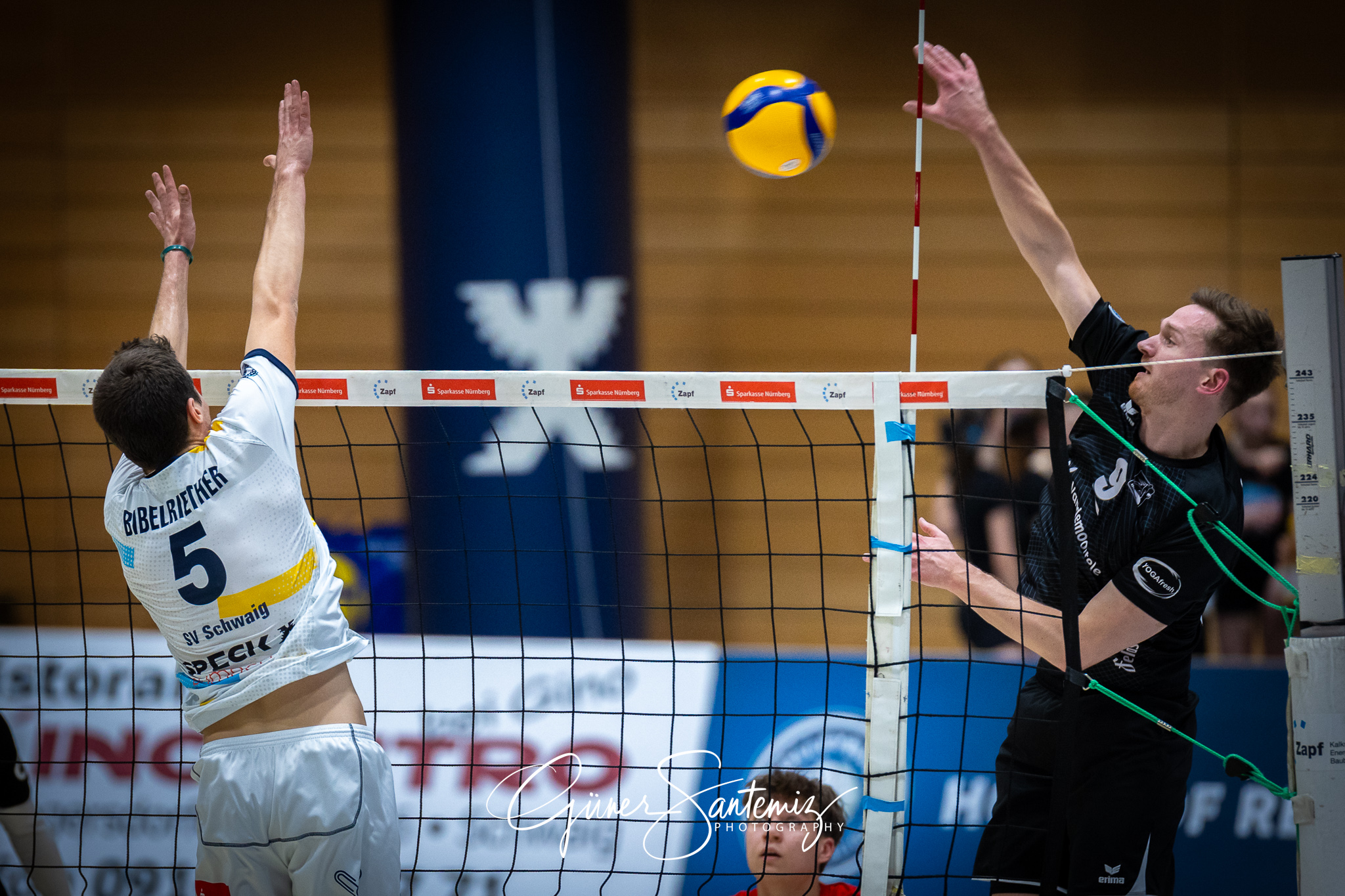 SV Schwaig Volleyball - Dentalservice Gust VC Dresden - Volleyba