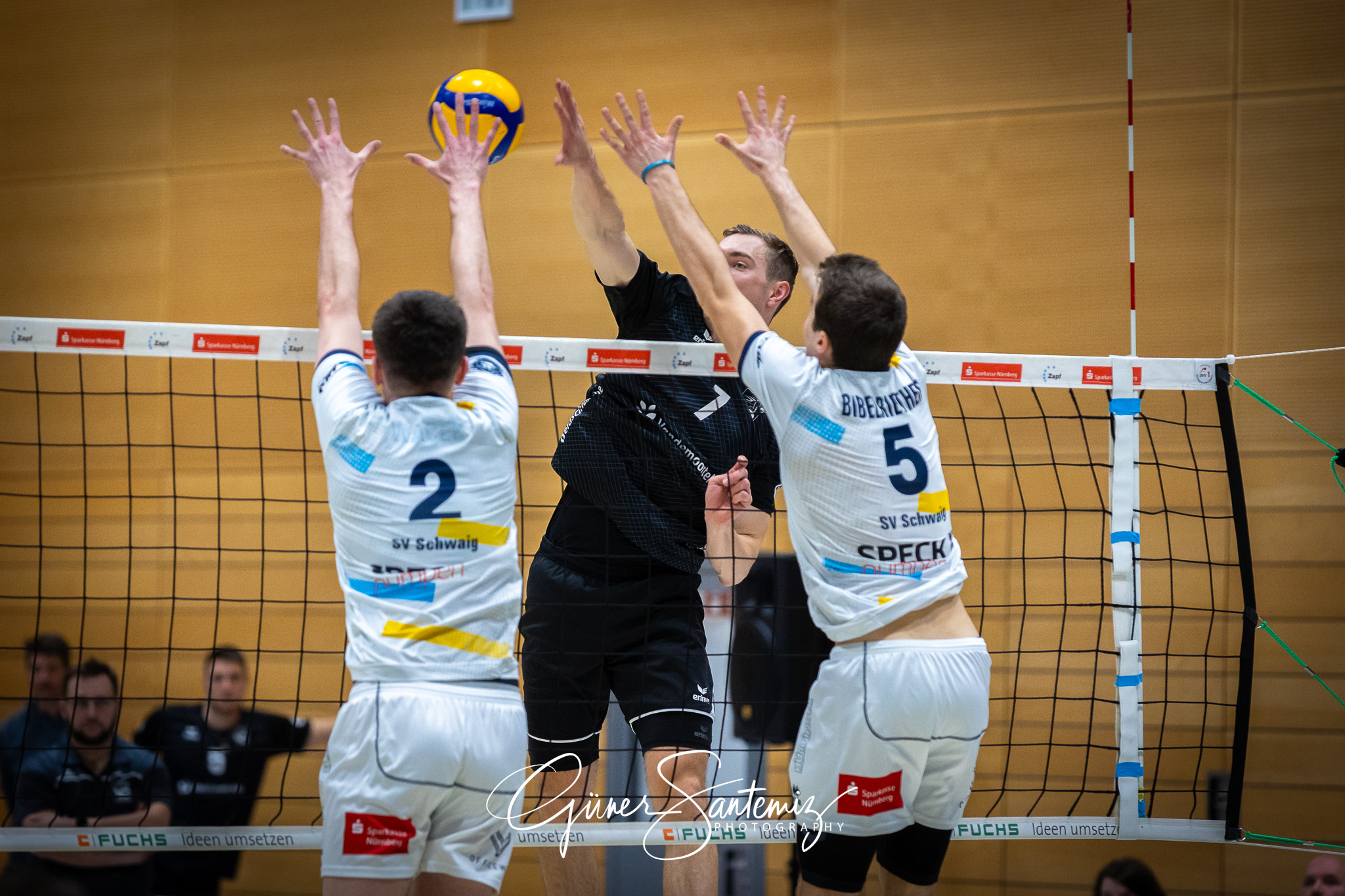 SV Schwaig Volleyball - Dentalservice Gust VC Dresden - Volleyba