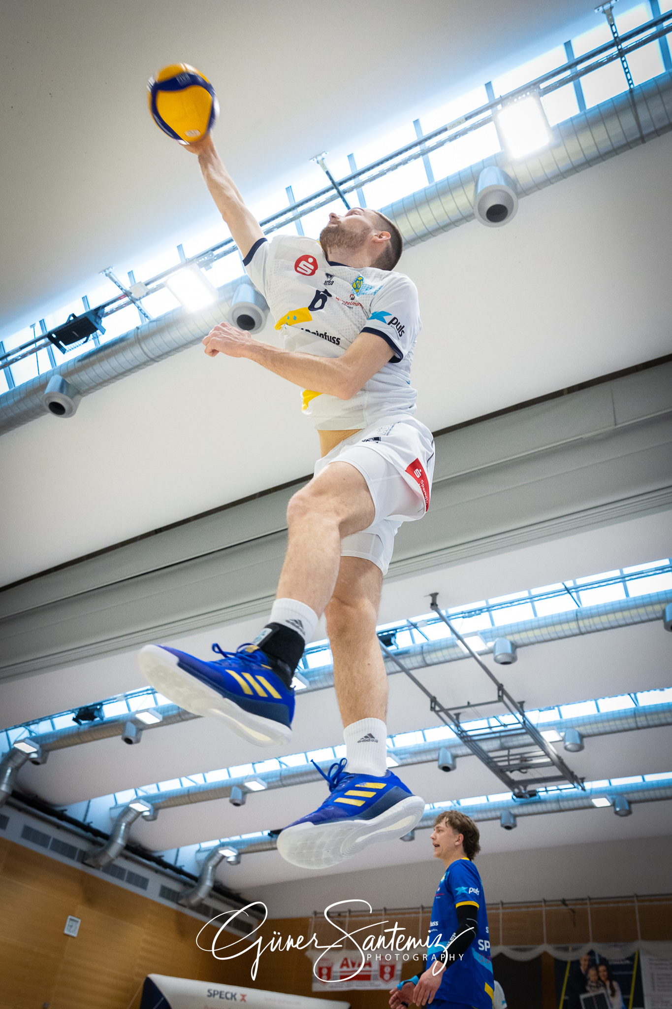 SV Schwaig Volleyball - TSV Grafing - Volleyball - 2. Bundesliga