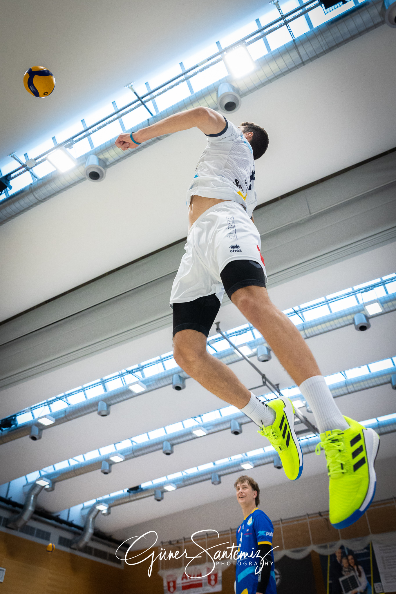 SV Schwaig Volleyball - TSV Grafing - Volleyball - 2. Bundesliga