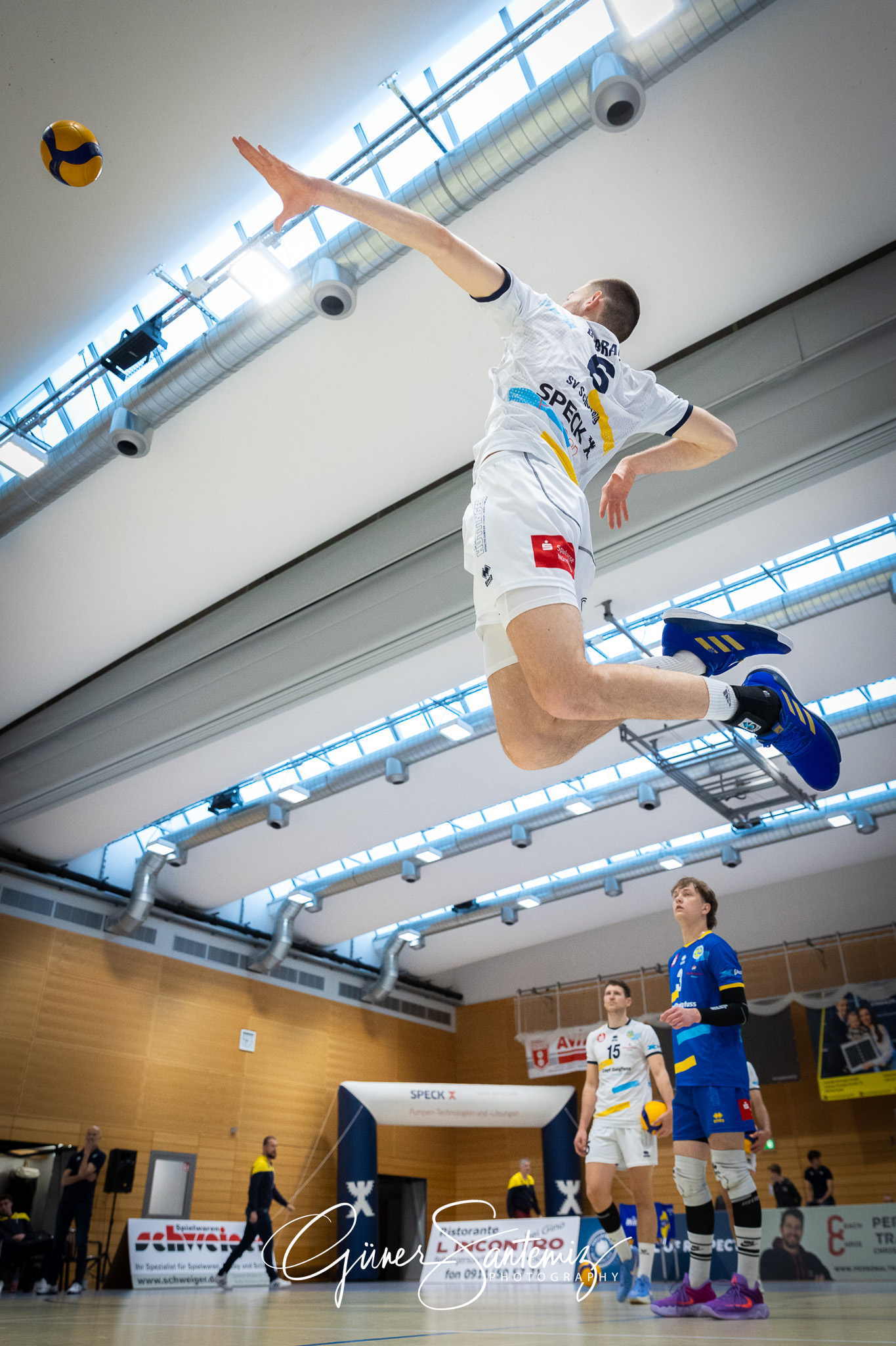 SV Schwaig Volleyball - TSV Grafing - Volleyball - 2. Bundesliga
