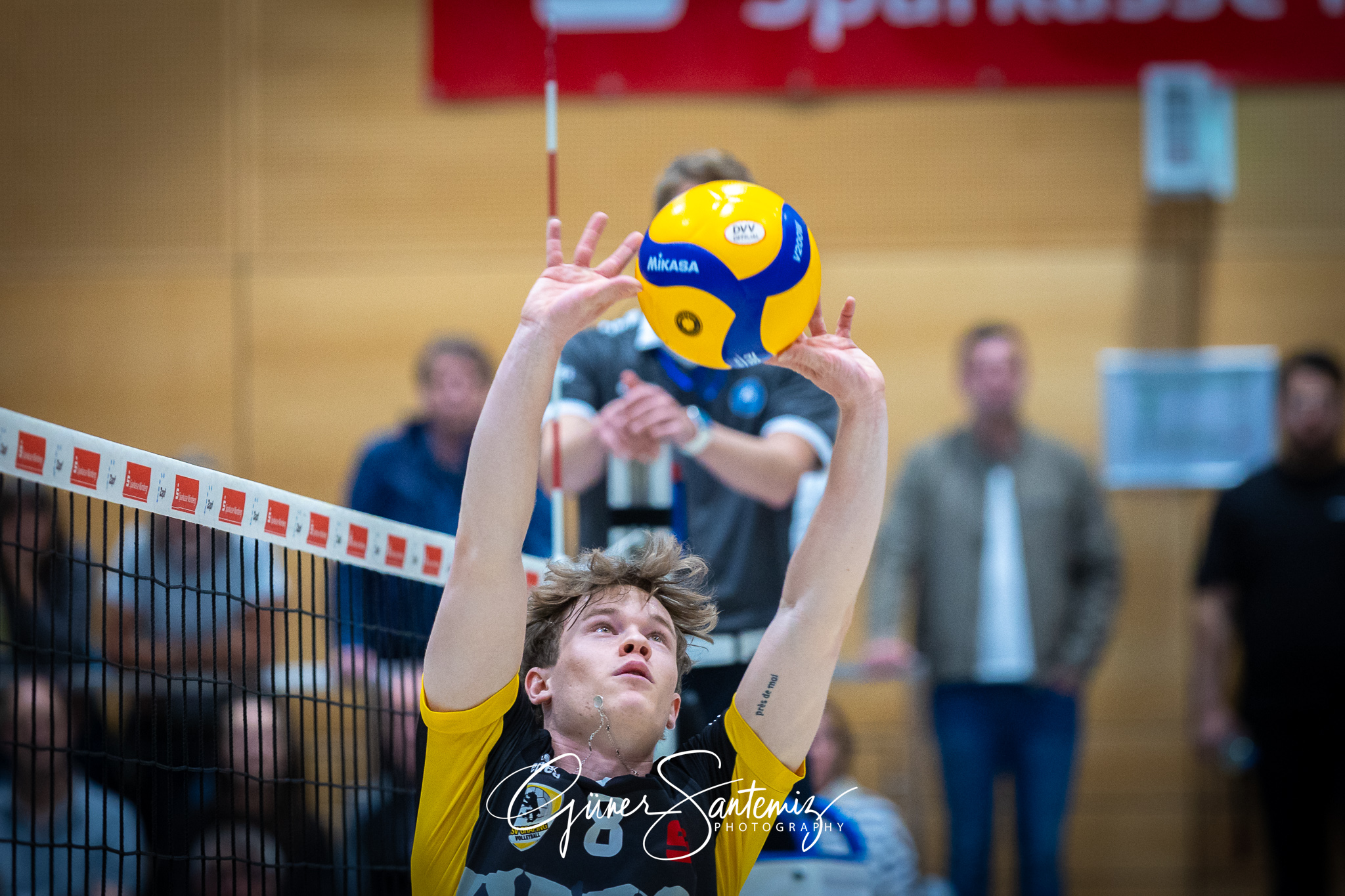 SV Schwaig Volleyball - TSV Grafing - Volleyball - 2. Bundesliga